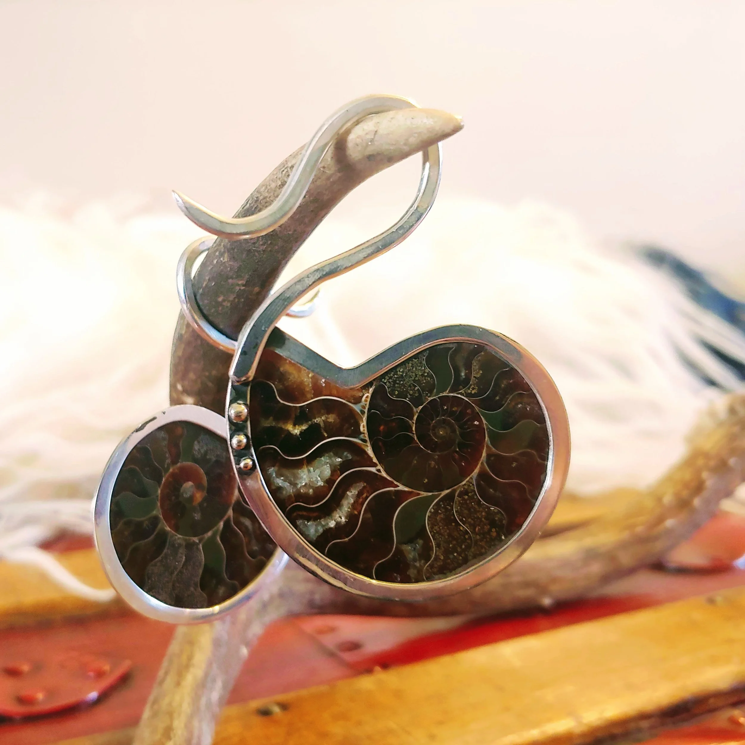 Ammonite 10g. Ear Weights