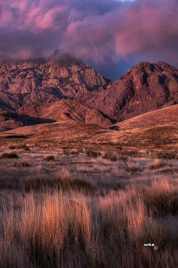 Coming Soon! Cruces Gems: The Places I Keep Going Back To