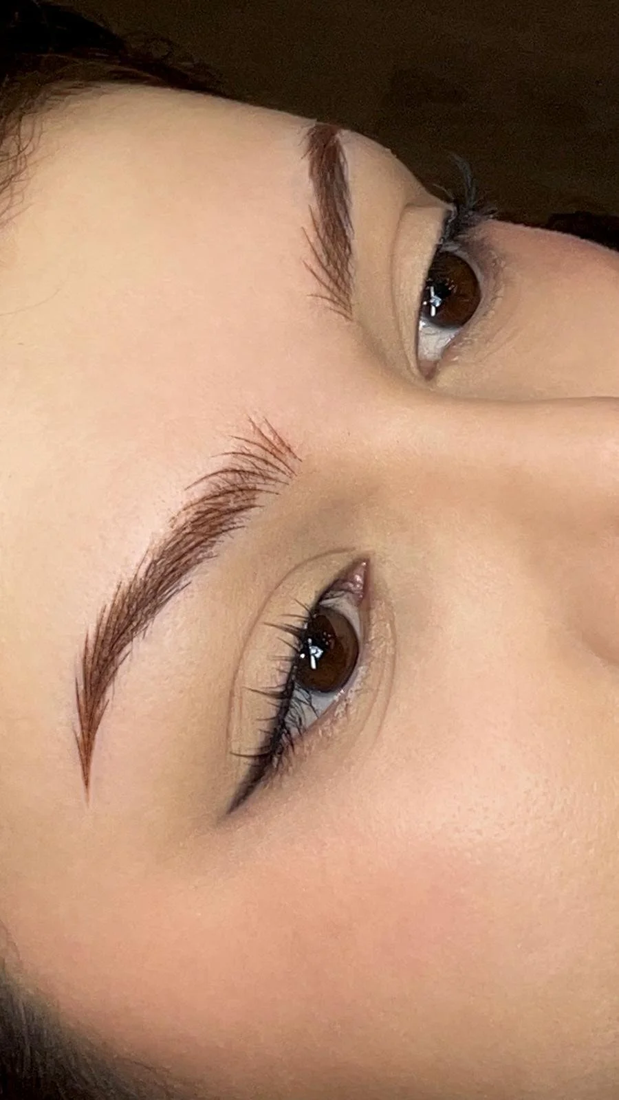 Hybrid Brow Service at Ptera Aesthetics, the premiere permanent makeup studio in Las Cruces, New Mexico.