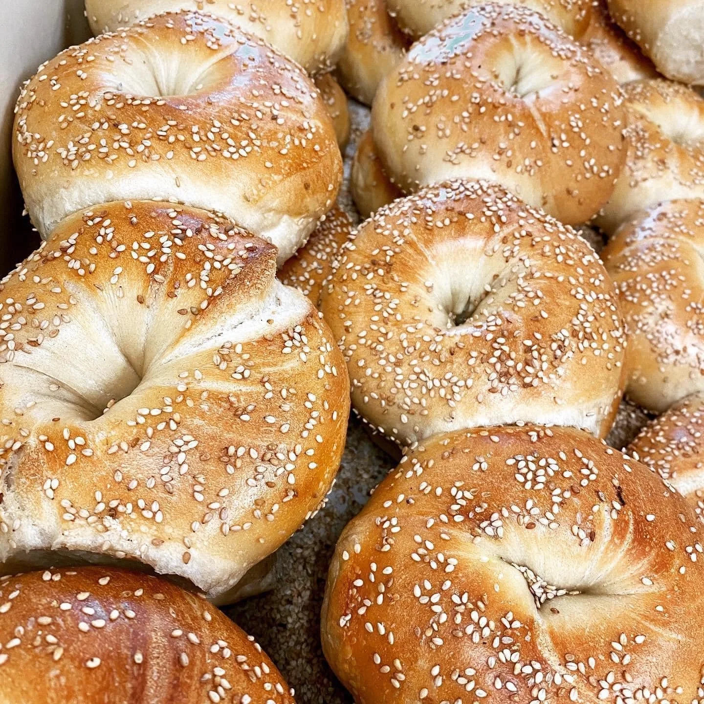 Fresh baked bagels topped with sesame seeds, with a golden-brown crust and soft interior.