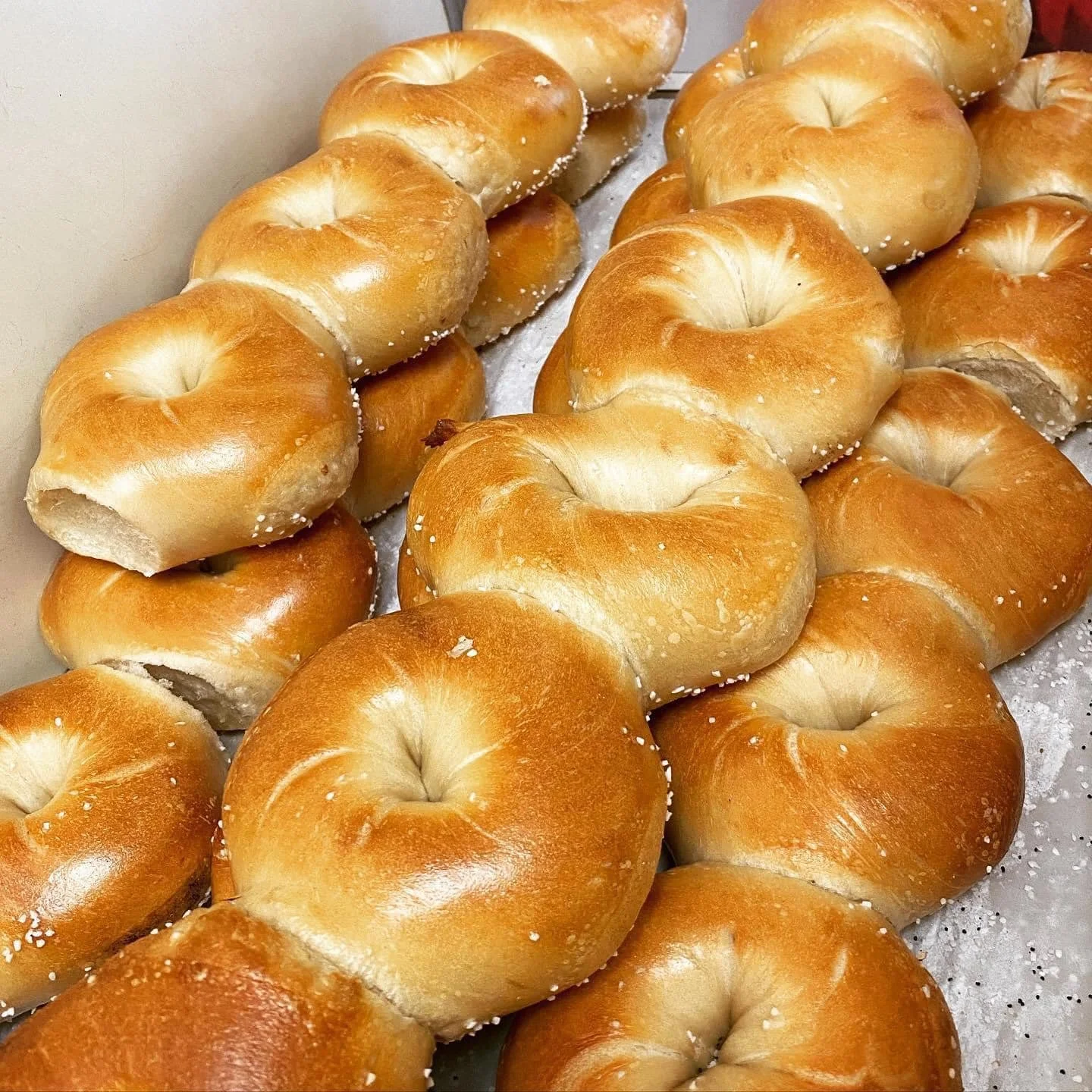 A tray of freshly baked bagels with a golden-brown crust.