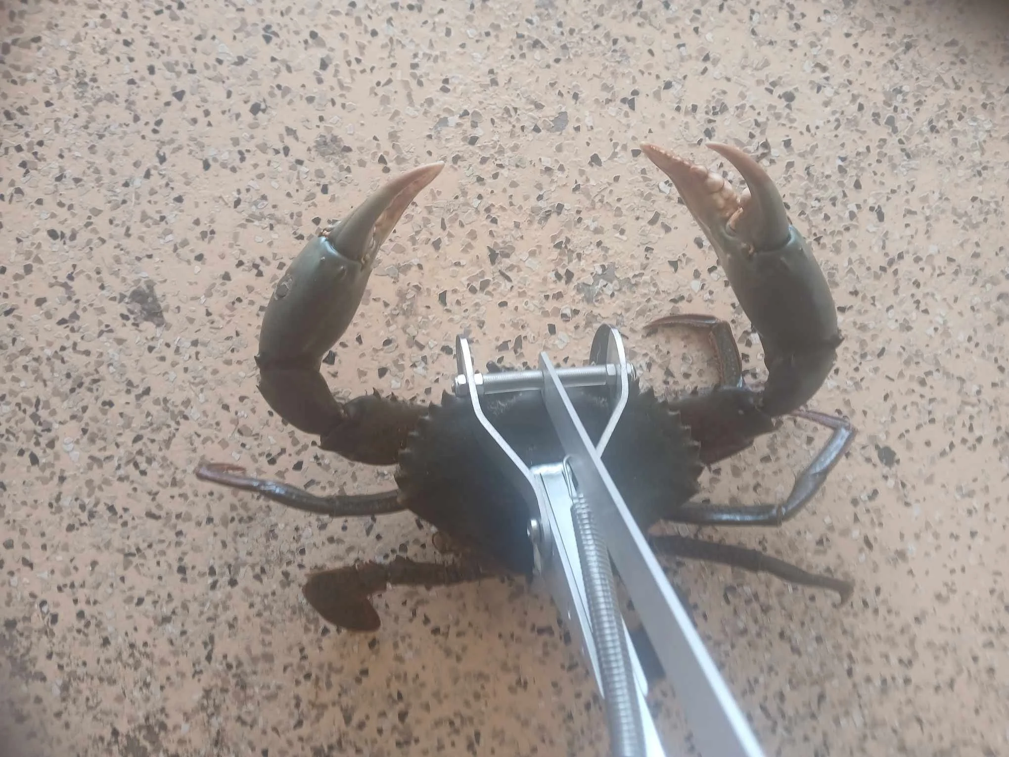 Business Suite_creation_1923188218383949.jpeg