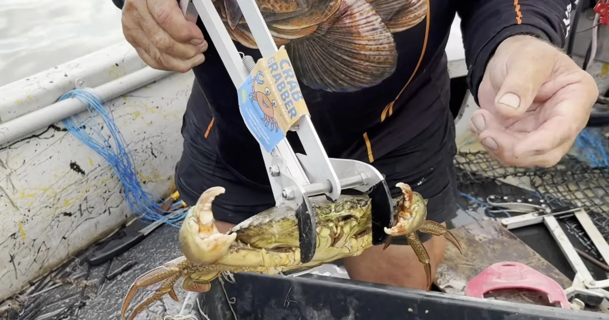 Person holding a crab with a clamp on its body, with a smaller crab in its mouth, on a boat with fishing equipment.