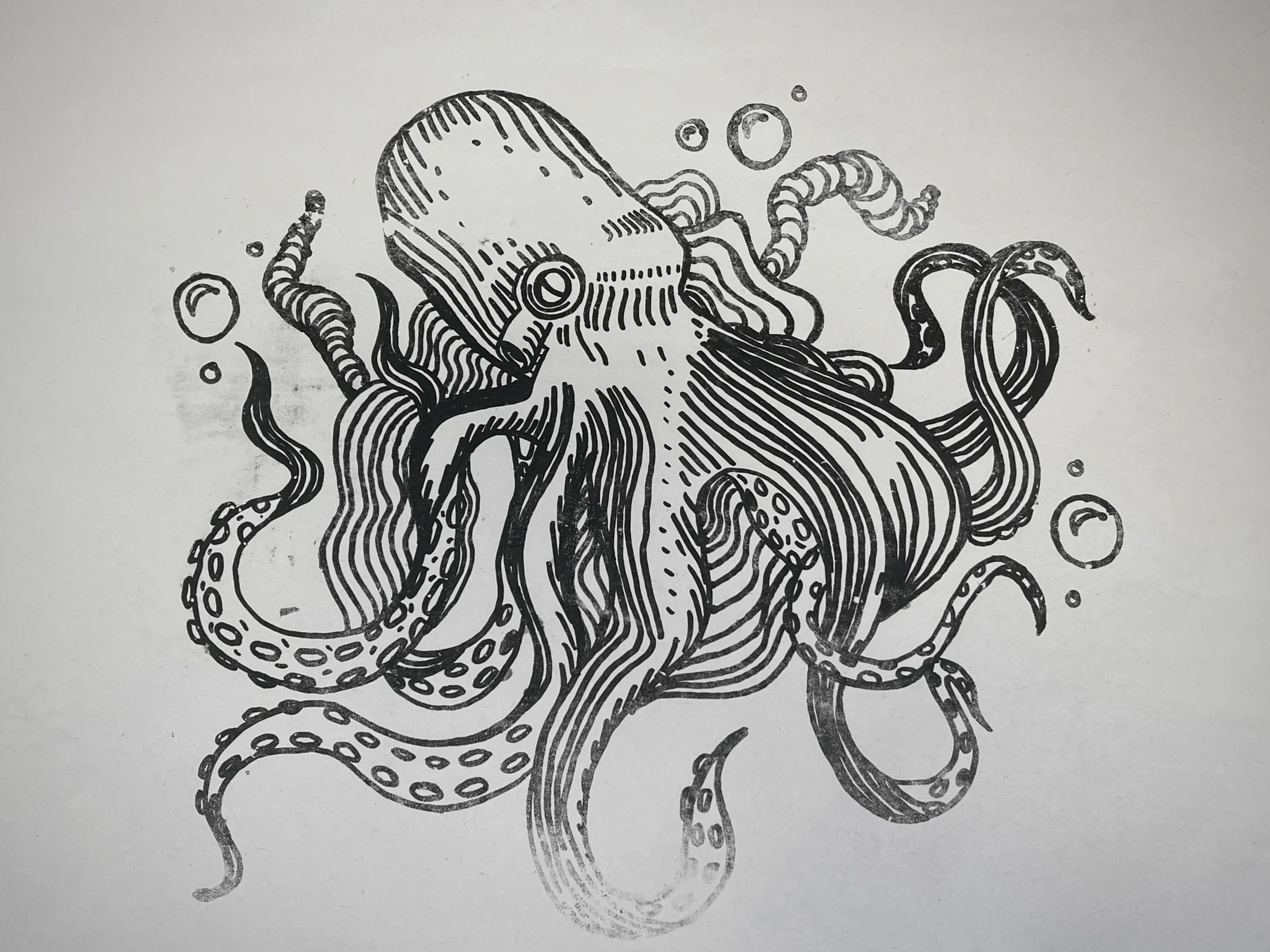 Octopus.webp