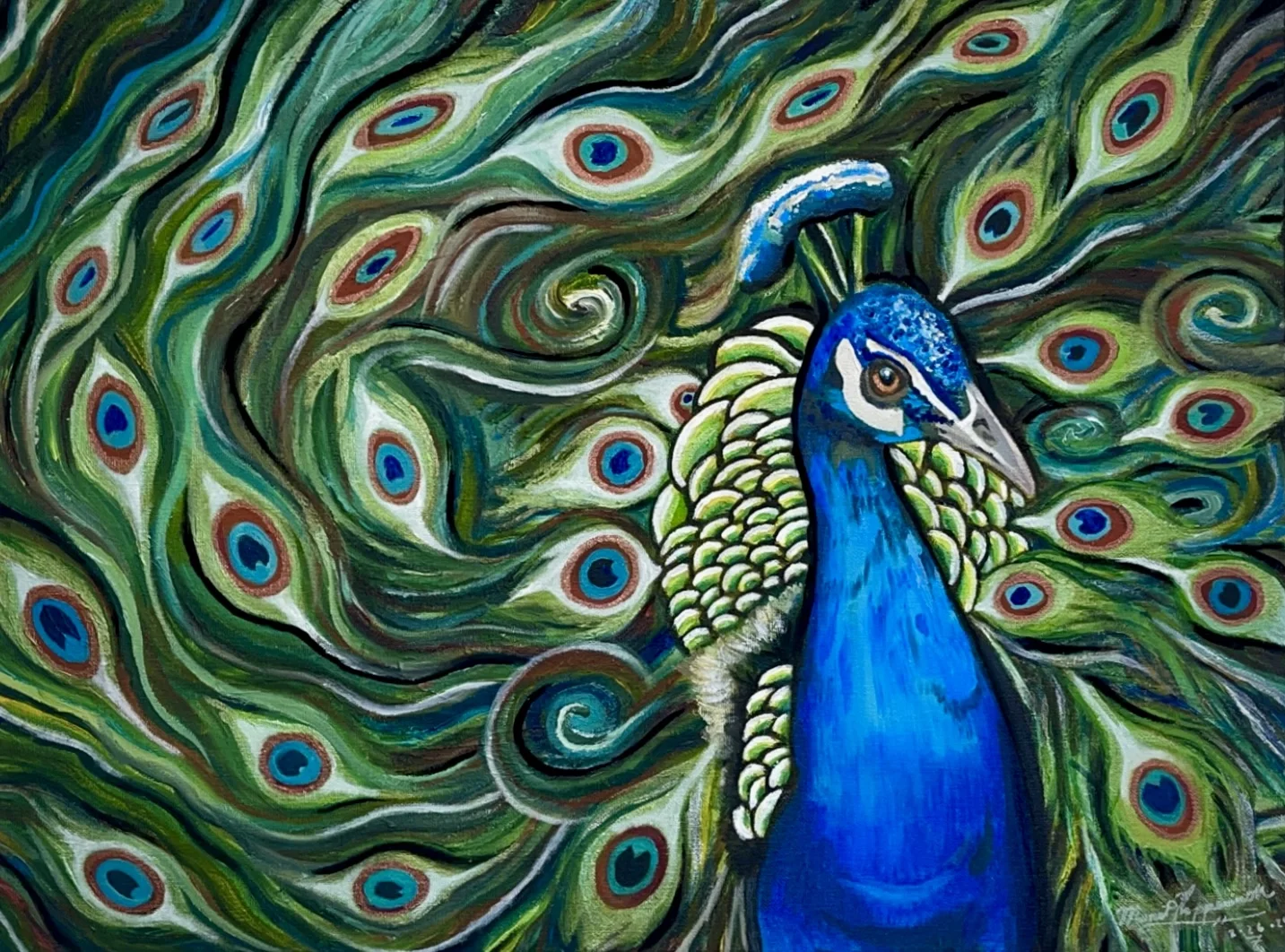 Peacock.webp