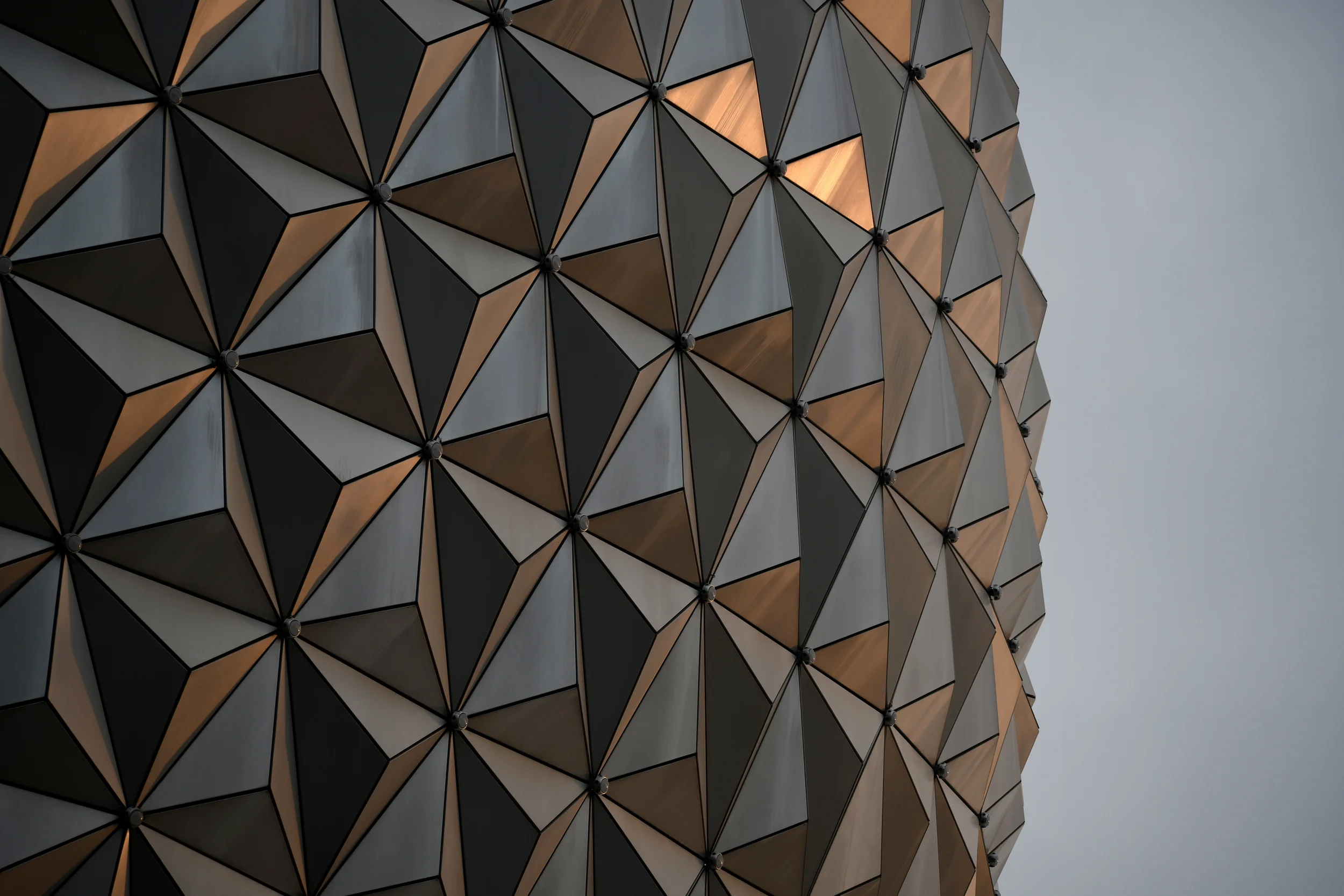 Disney 3.webp
