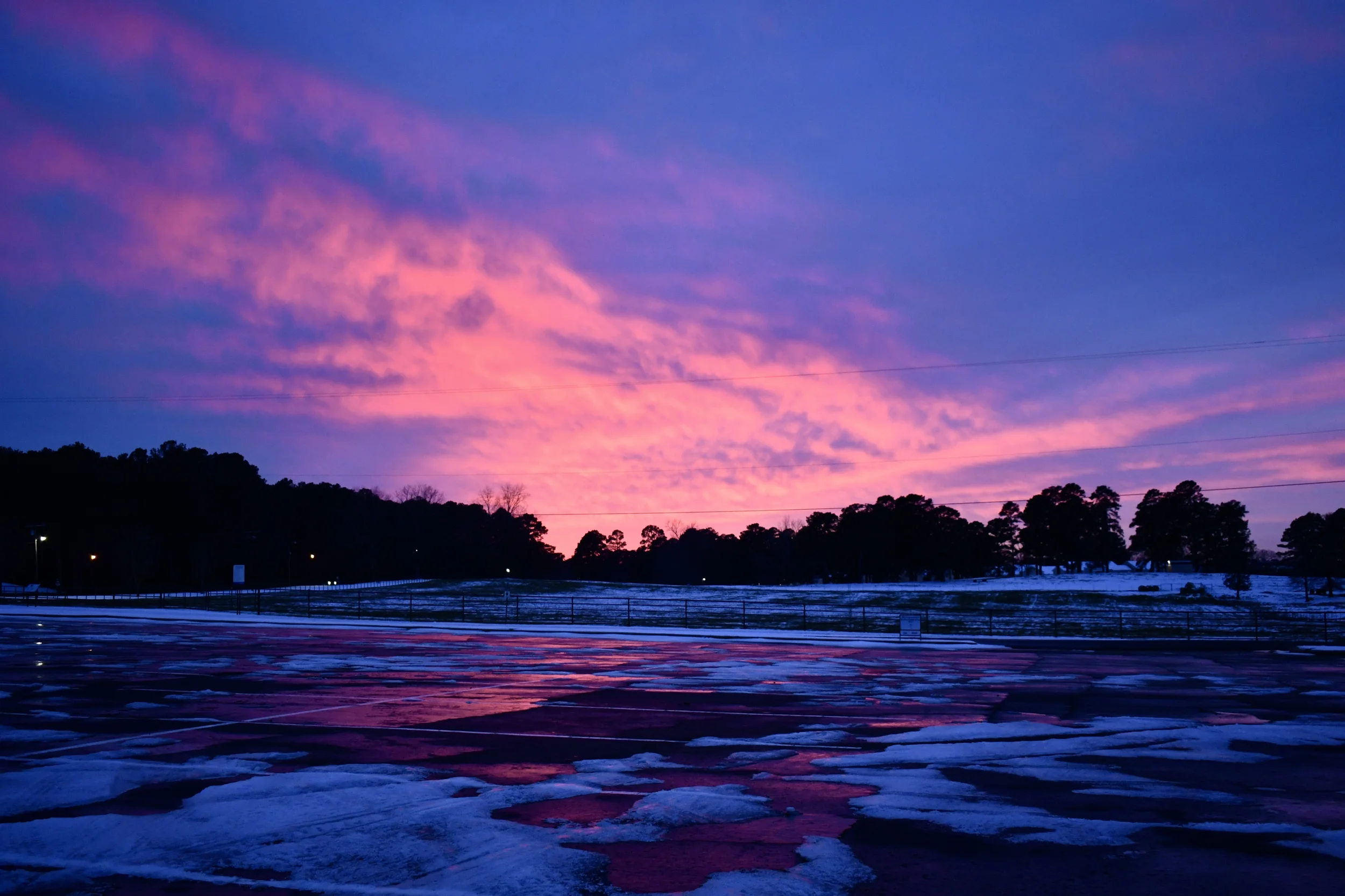 DSC_5194.webp