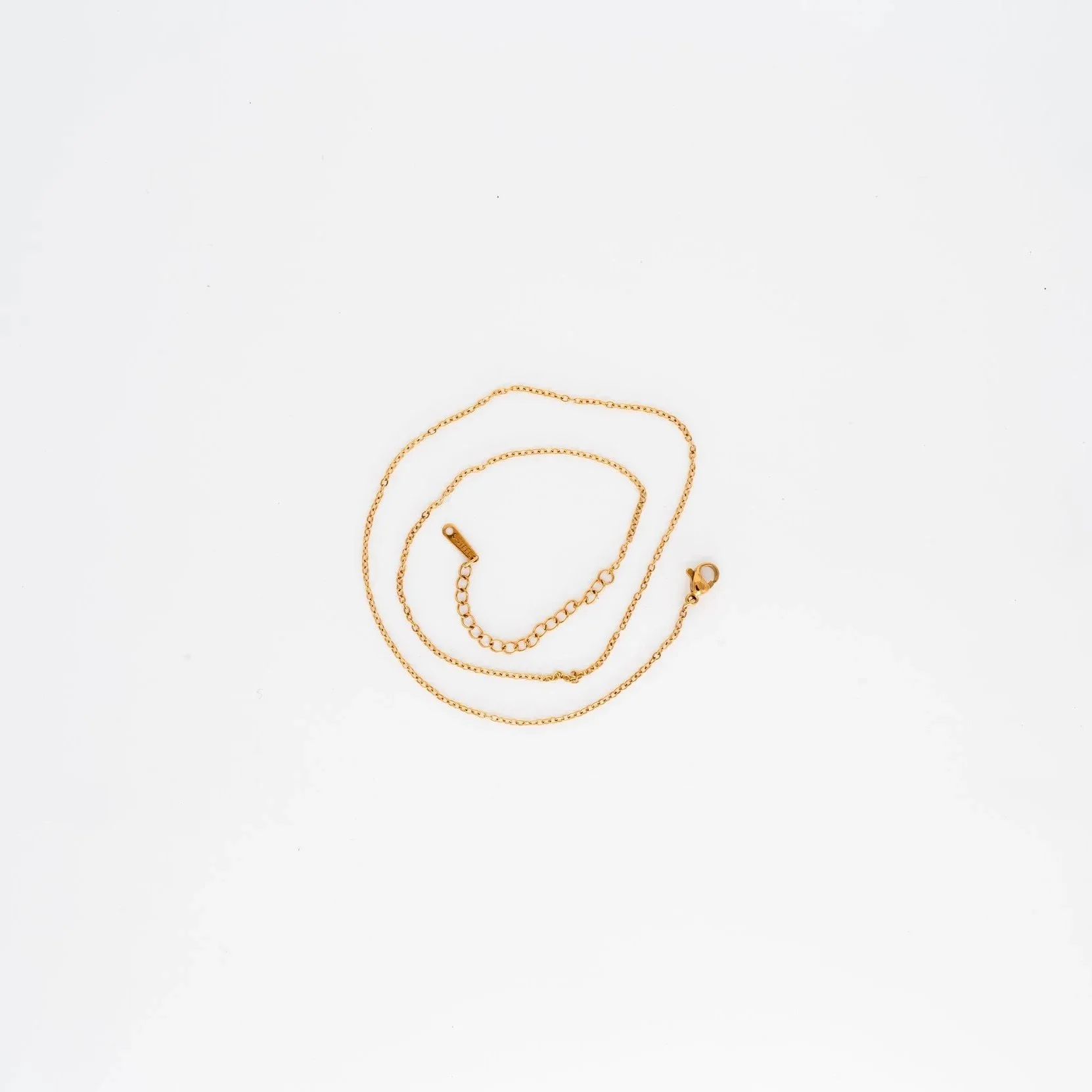 BRN_8882-Migliorato-NR.jpg (Copia)