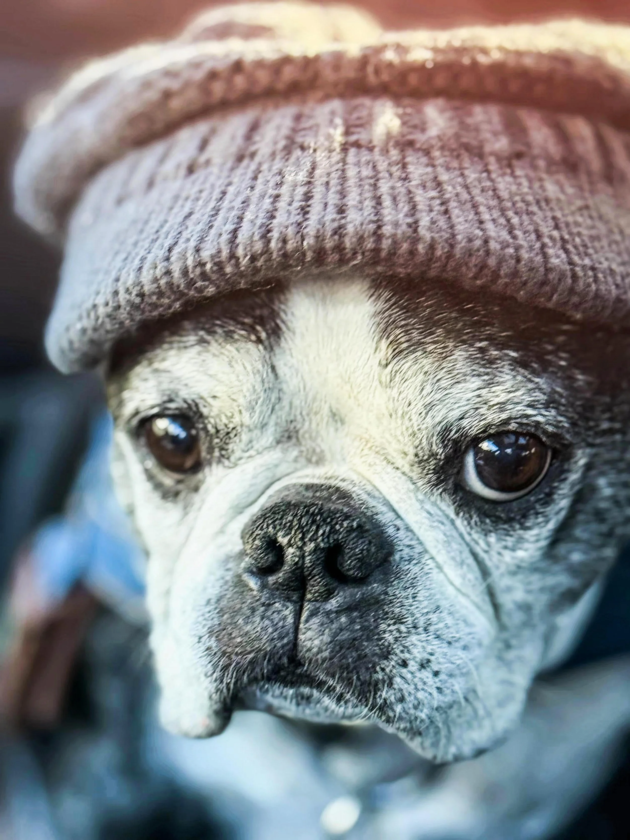 IMG_20251217_220454 copy.jpg