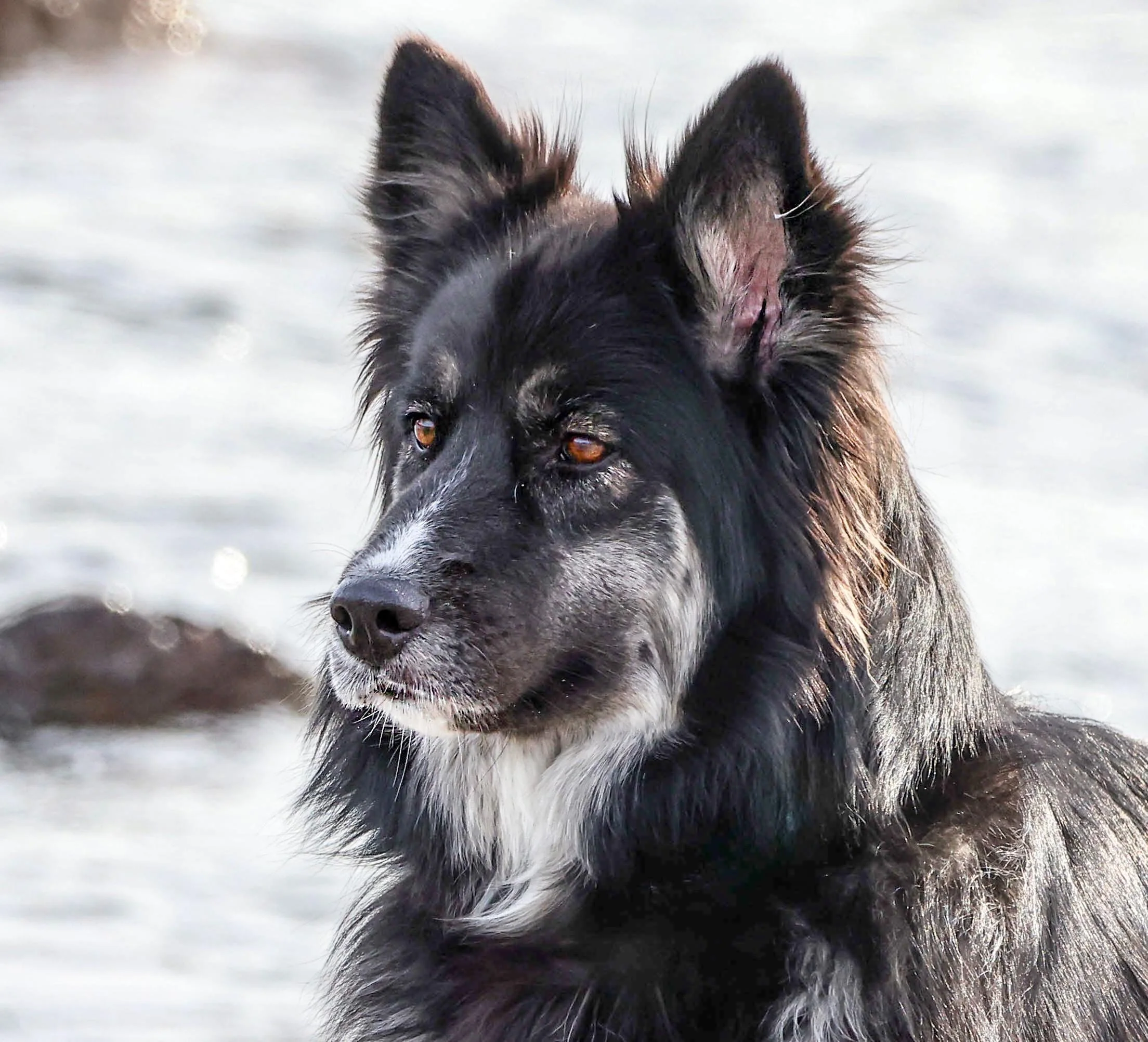 037A1541 copy_edited copy.jpg