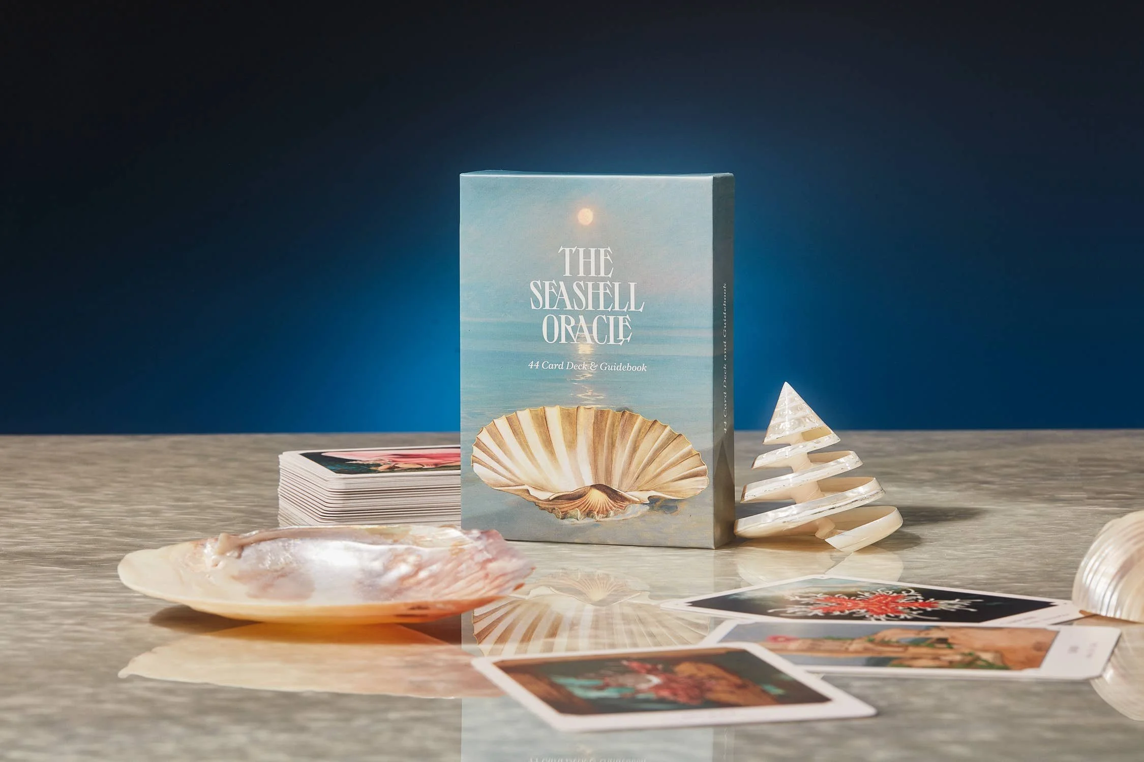  The Seashell Oracle: Deck and Guidebook 