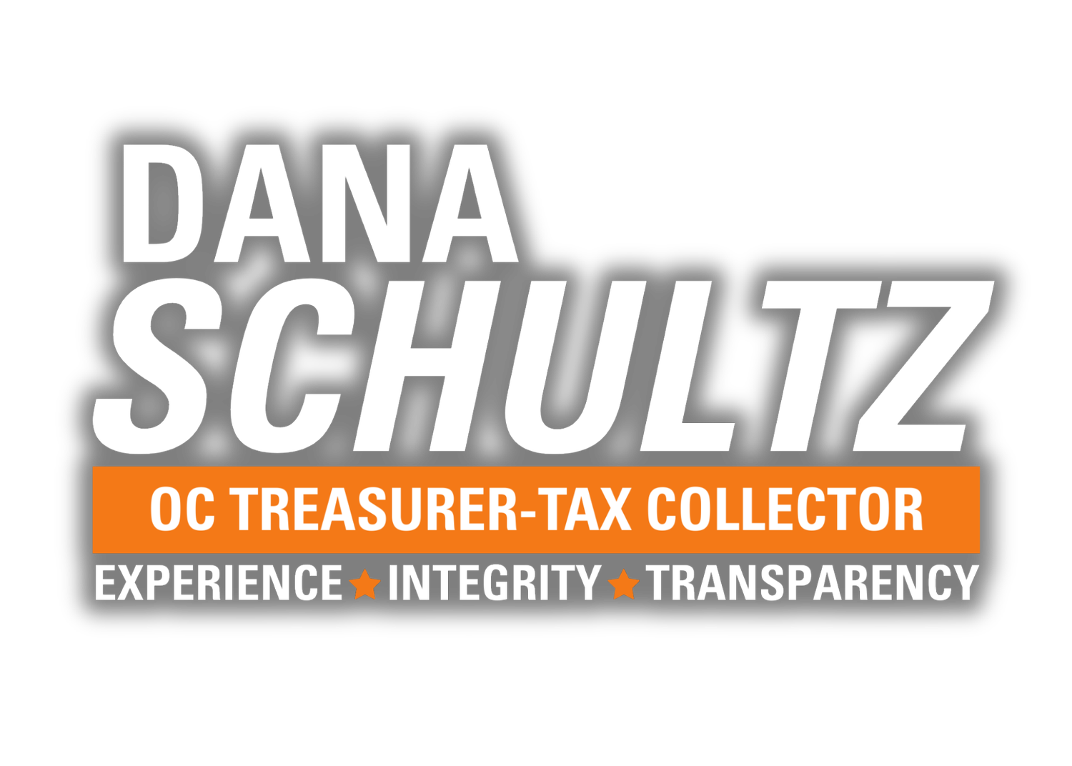 Dana Schultz For Treasurer 