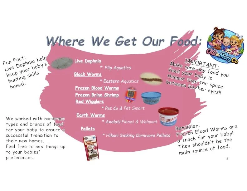 A colorful informational page about baby food sources, listing natural and store-bought options, with colorful images of food containers and playful designs.