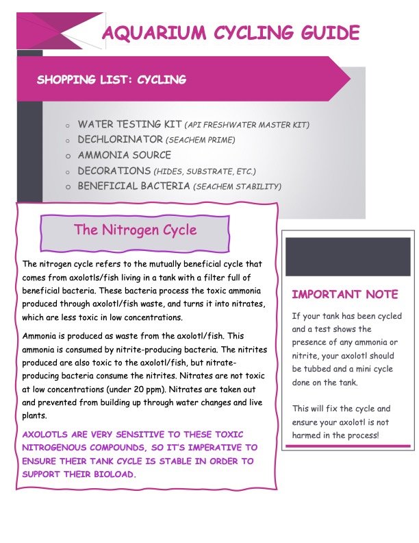 Aquarium cycling guide infographic with a shopping list for cycling, including water testing kit, dechlorinator, ammonia source, decorations, and beneficial bacteria. Details about the nitrogen cycle and important notes about tank cycling safety are included.