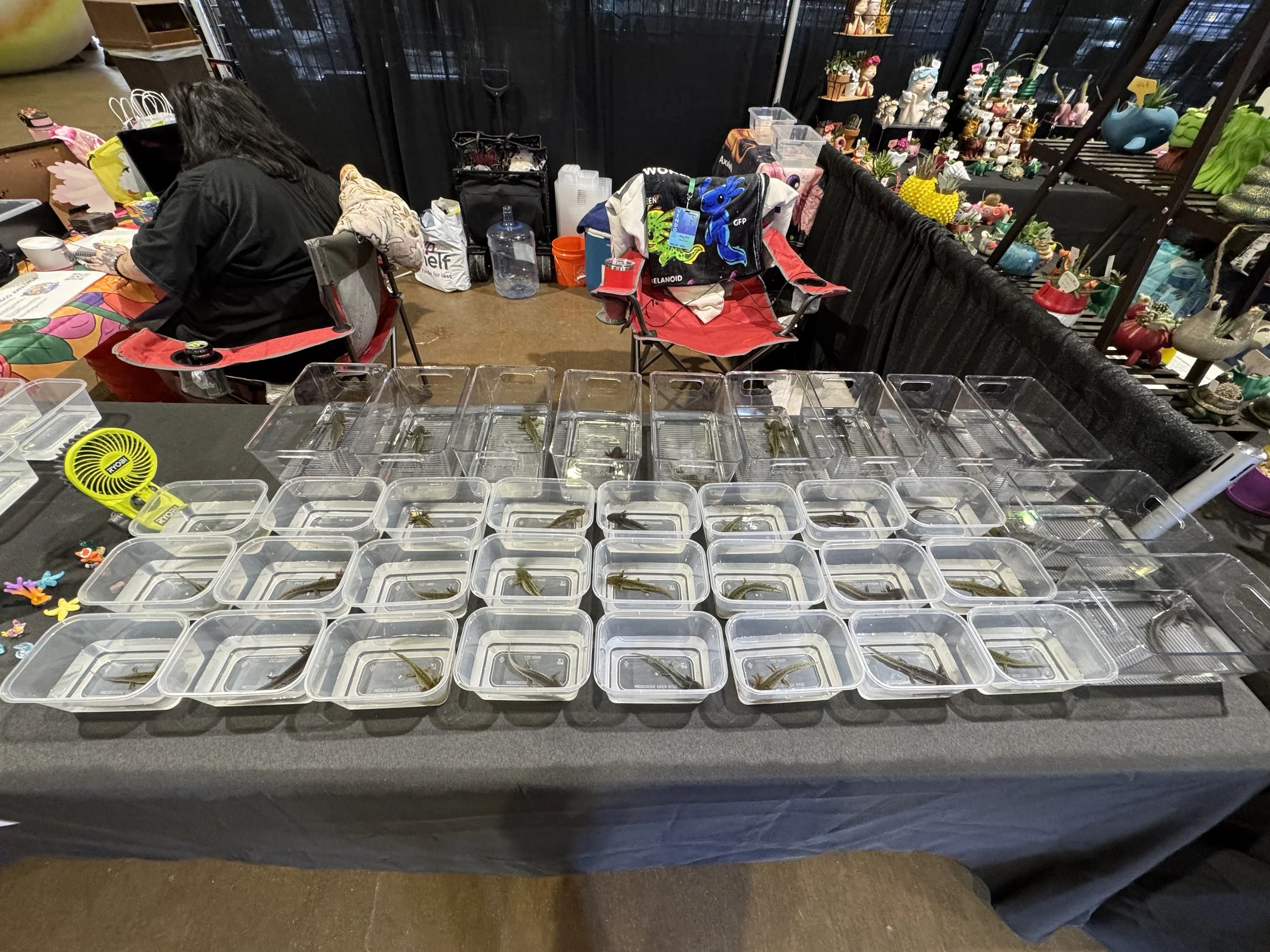 Table at a market stall displaying small containers with live crayfish, some colorful toys, a yellow handheld fan, and a woman sitting behind the table. In the background, there are shelves with decorative items such as planters, figurines, and vases.