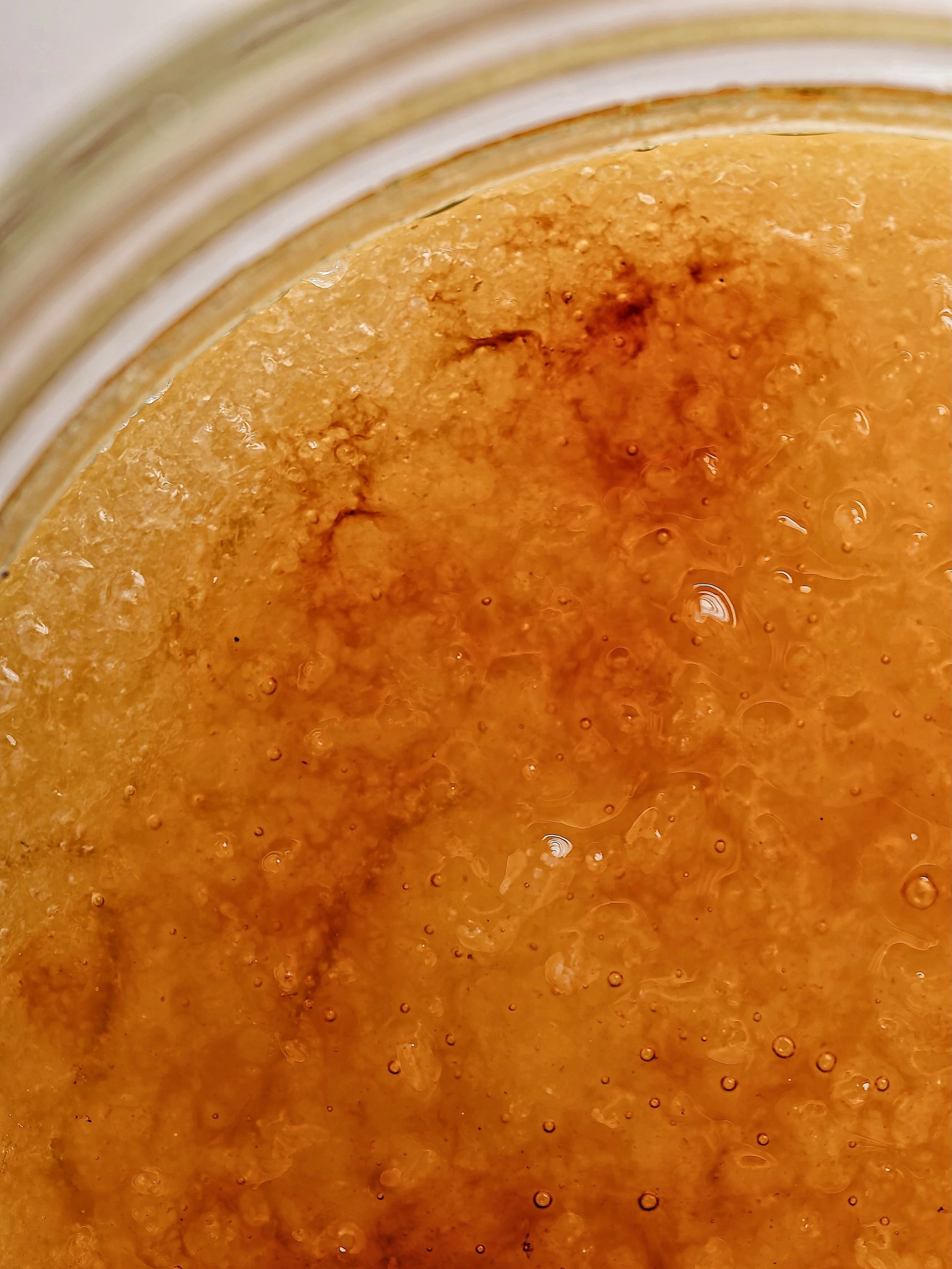 Photo Aug 10 2025, 2 45 18 PM.jpg