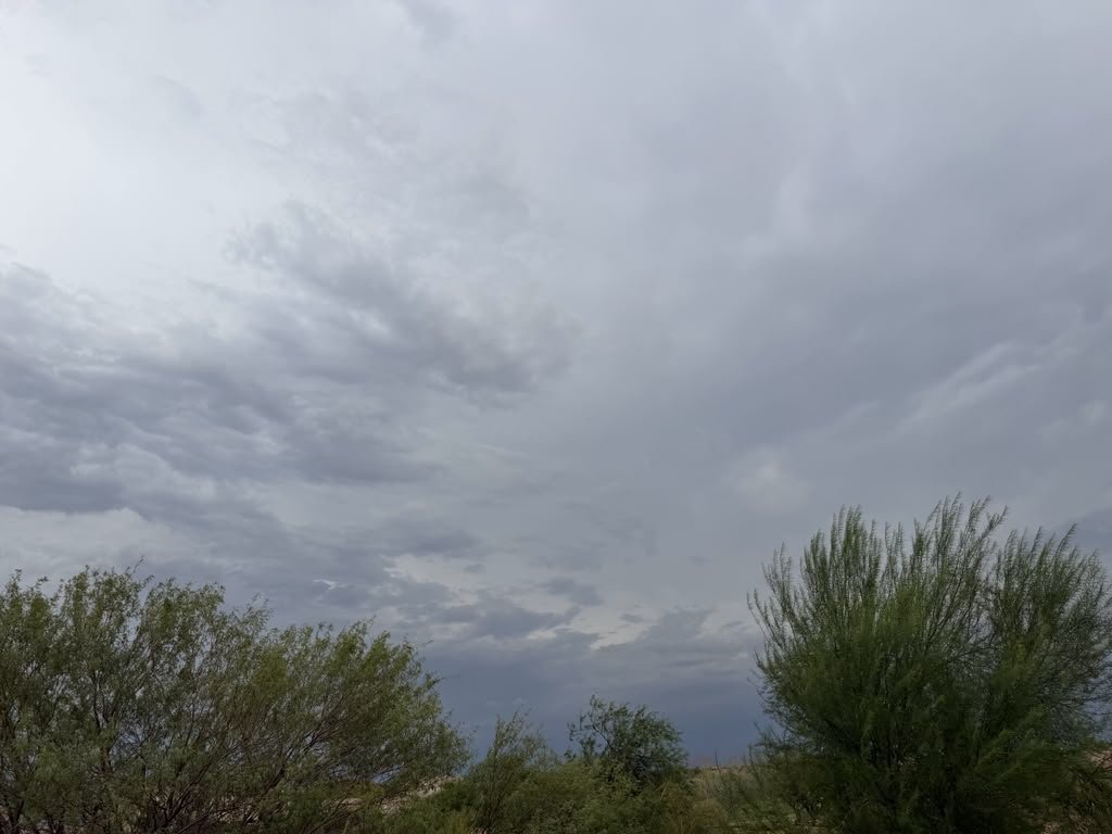 What to Check In Your Home After a Flash Flood in Arizona