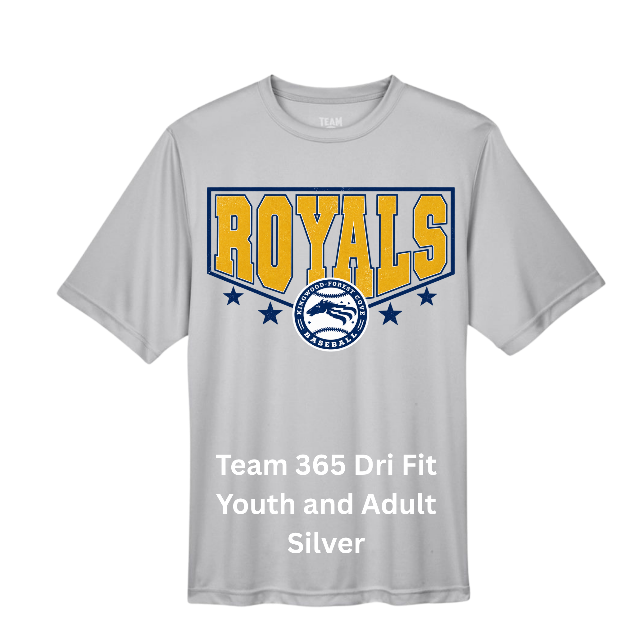 Core 365 Dri Fit Royal (17).png