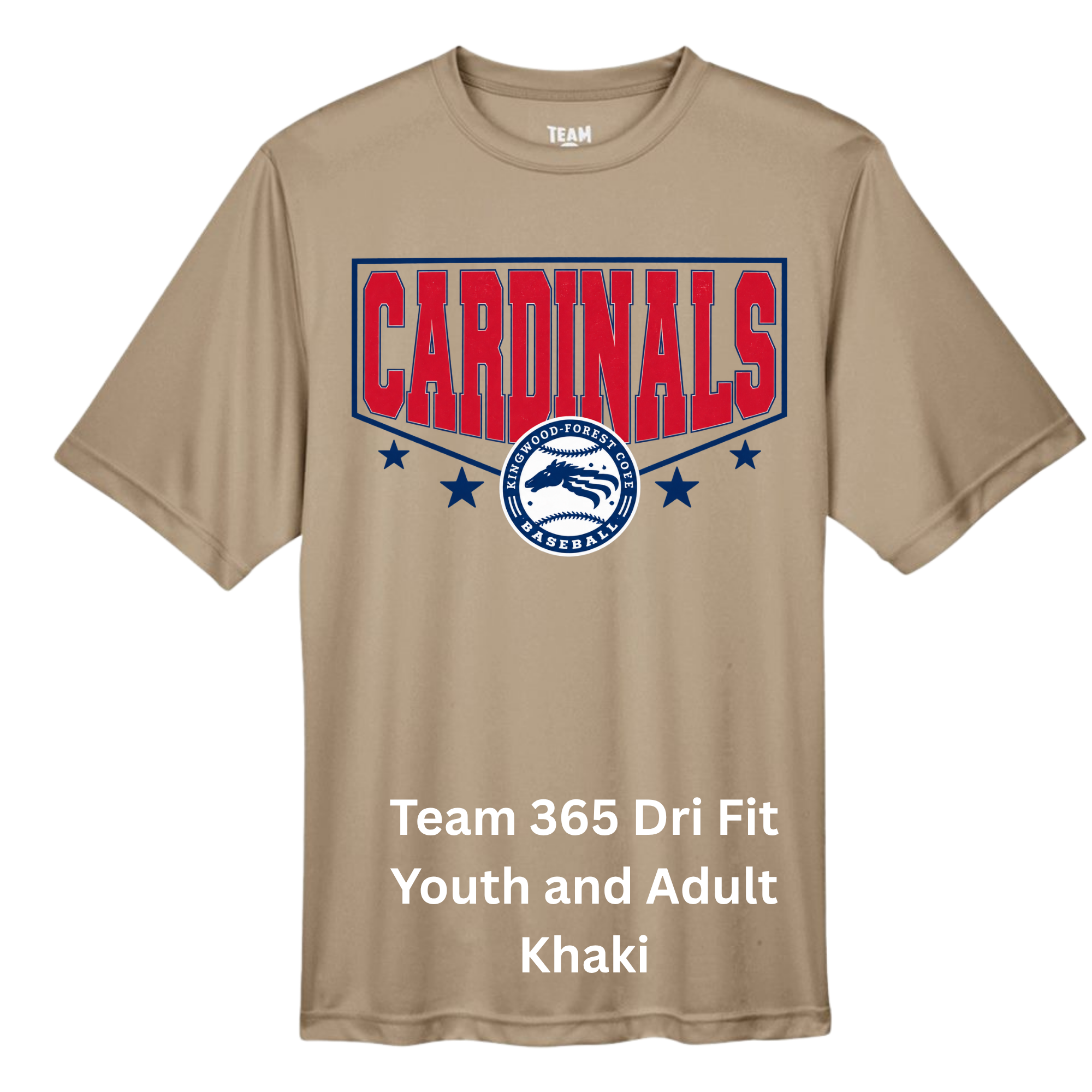 Core 365 Dri Fit Carbon (21).png