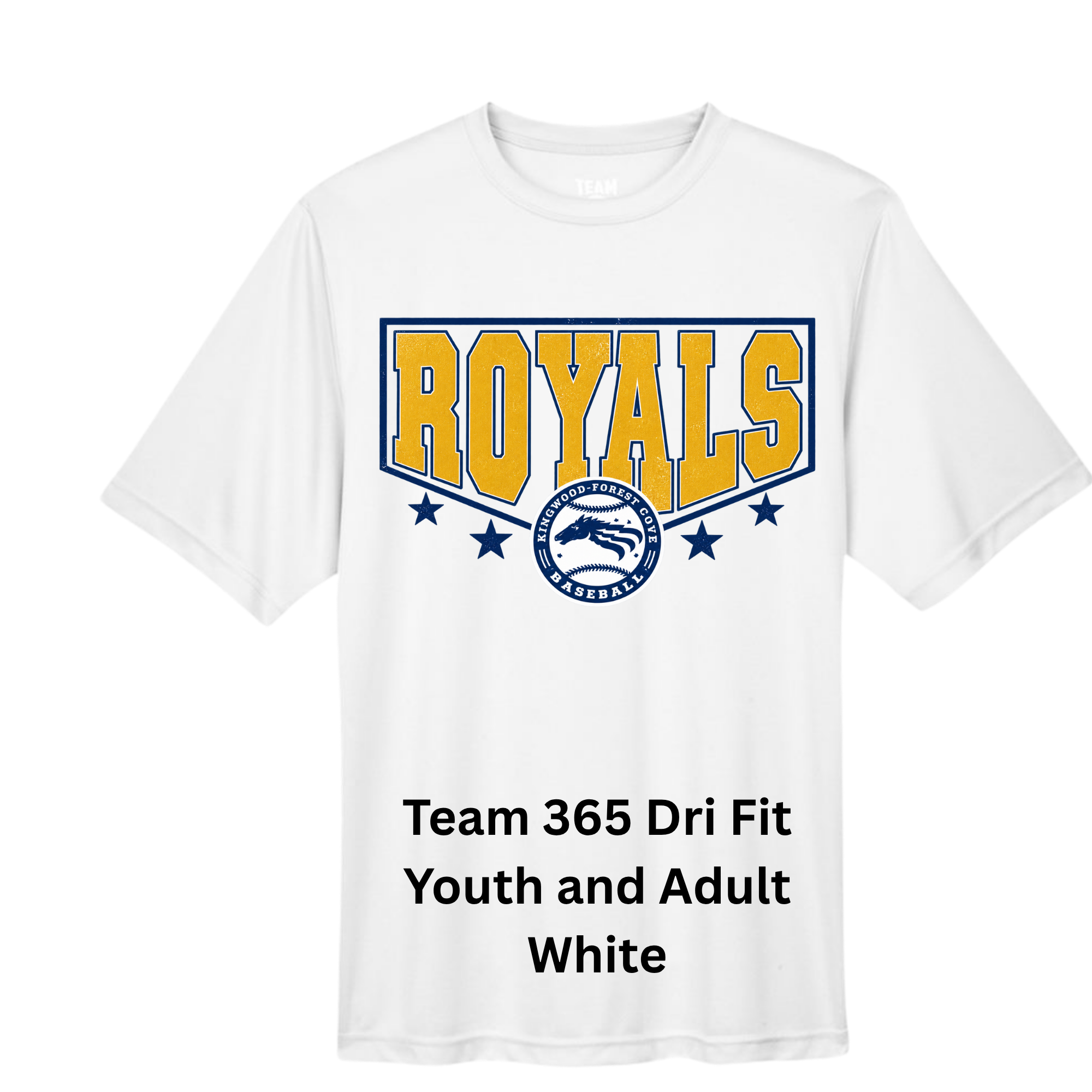 Core 365 Dri Fit Royal (18).png