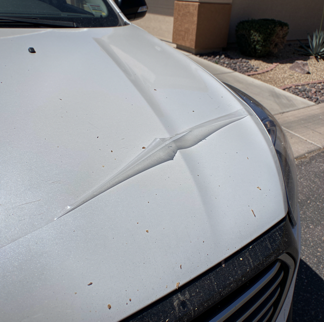 Torn Paint Protection Film: What the Open Edge Lets In