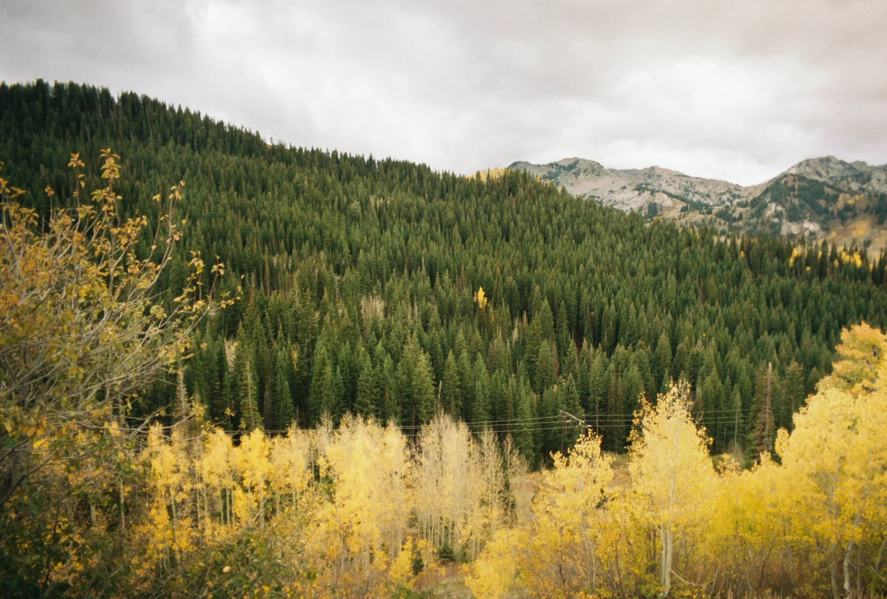 0158487_0158487-R1-050-23A.jpg