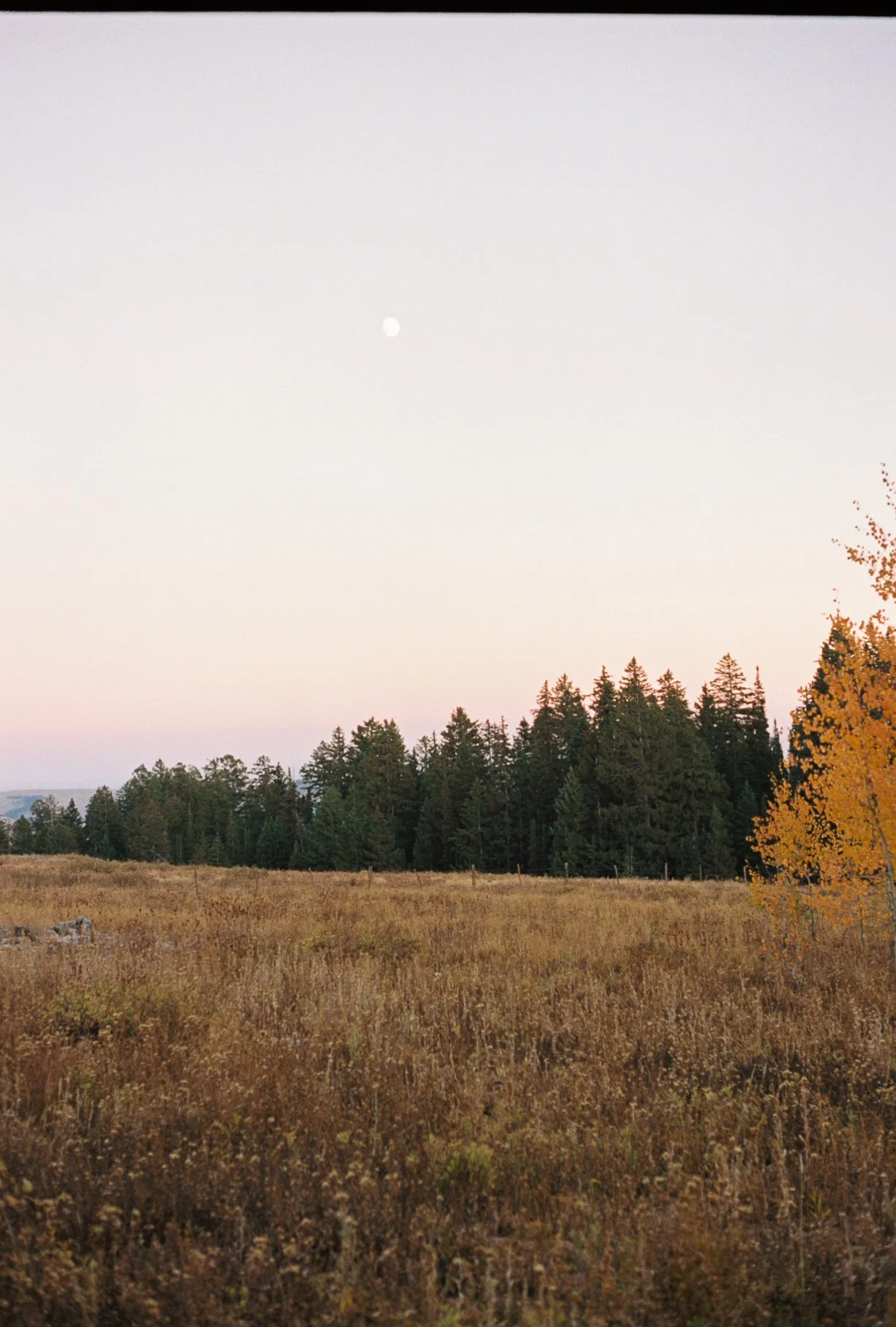 1576650_1576650-R1-036-16A.jpg