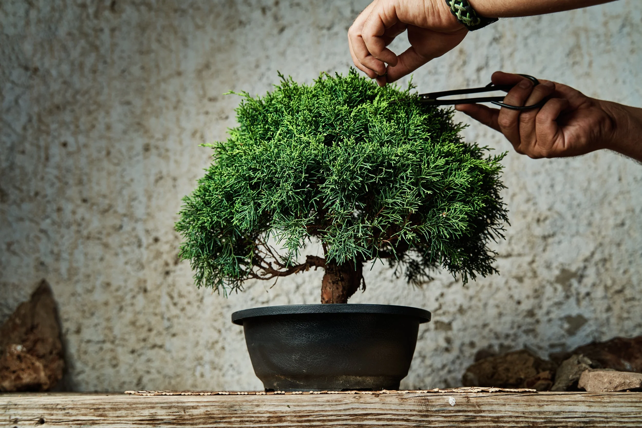 Why most businesses fail to scale