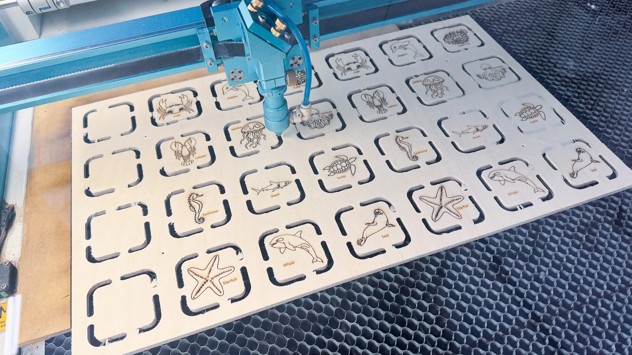A laser engraving machine working on a piece of wood, creating outlines of various sea creatures with their names labeled, such as crab, octopus, turtle, whale, seahorse, starfish, seal, shark, and eel.