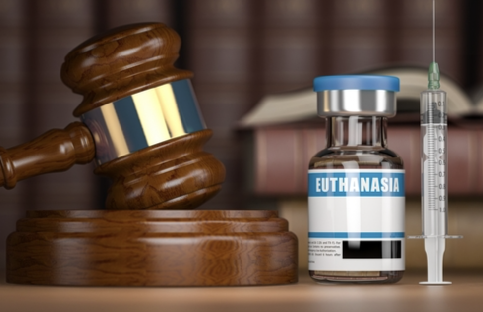 Euthanasia Leniency vs. Pro-Life Penalties: A Blatant Double Standard