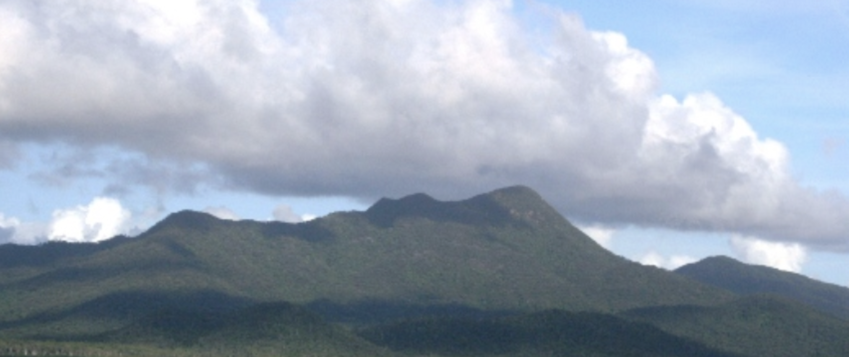 Reflections on the Hinchinbrook By-Election