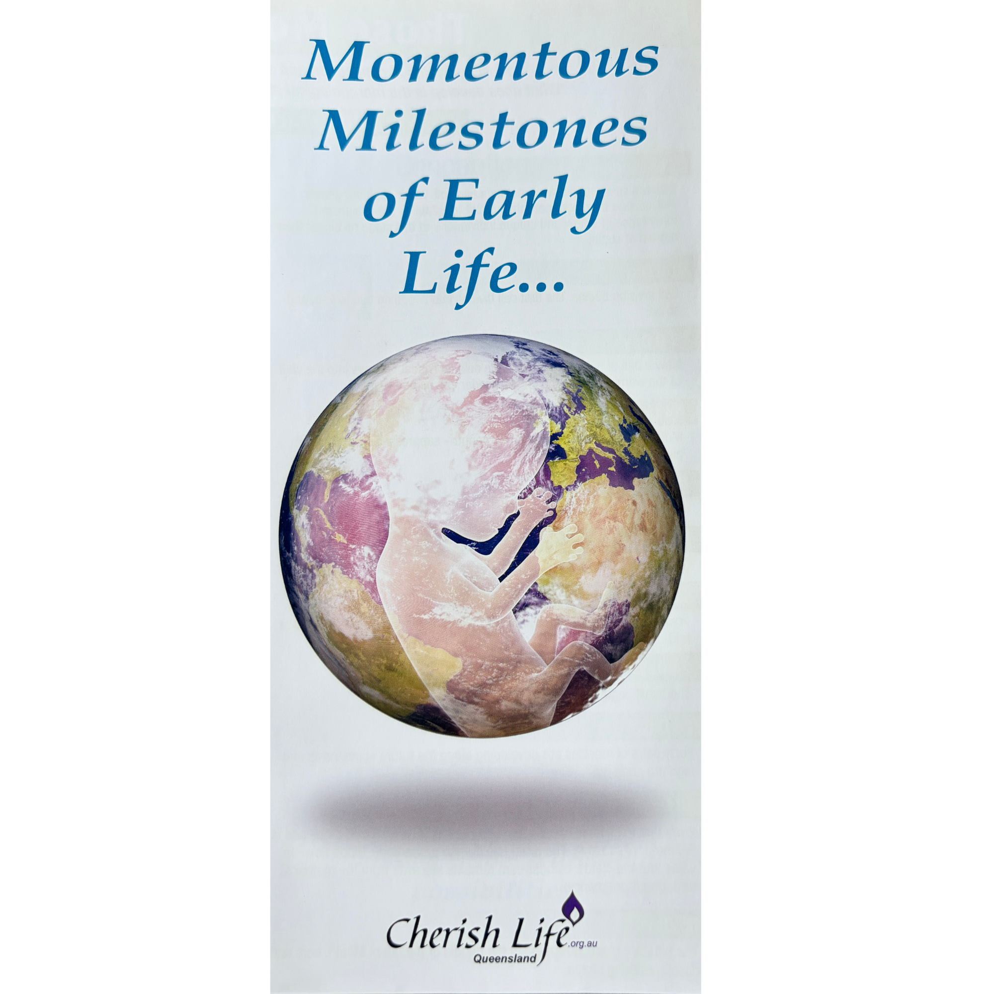 Momentous Milestones of Early Life Flyer