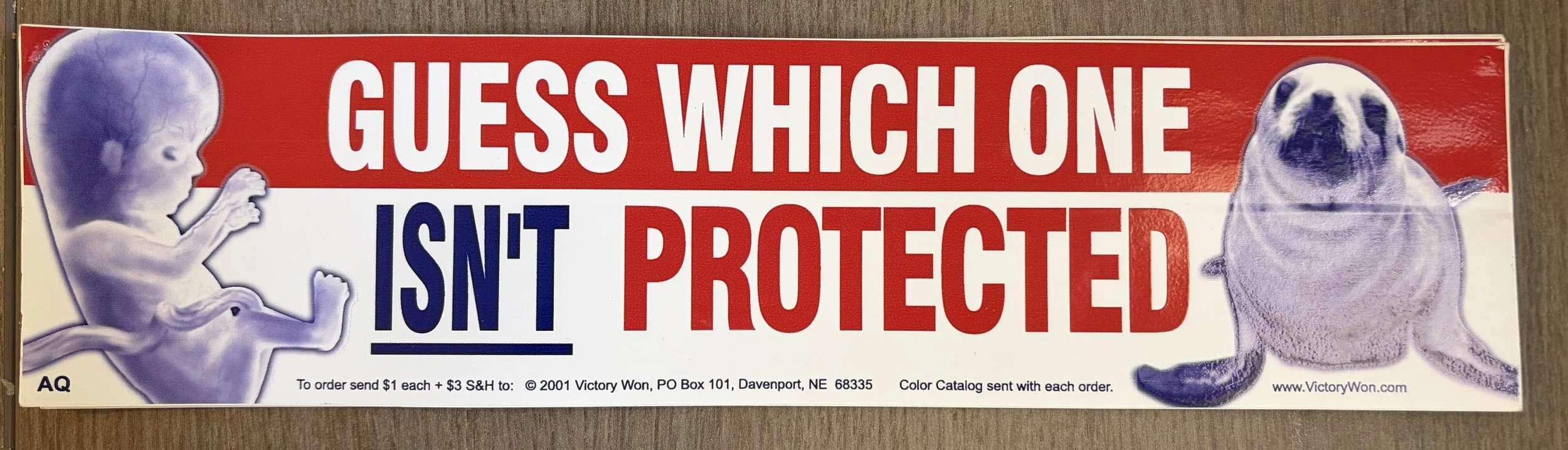 Car Sticker - Guess Which One Isn't Protected