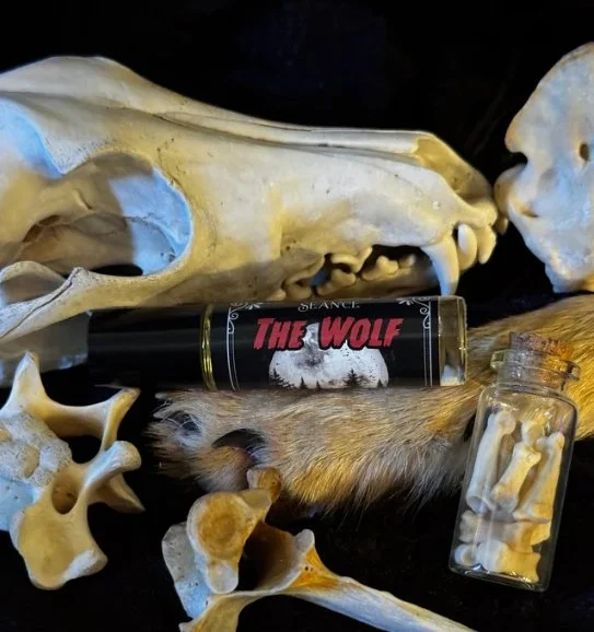 The Wolf (Forest & Musk)