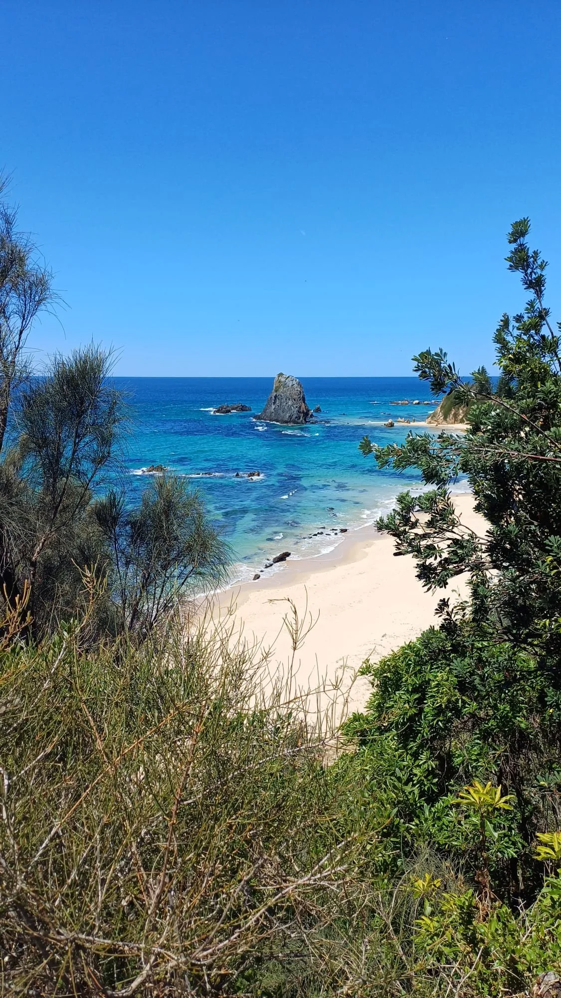 A scenic view of a beach with clear blue water, sandy shore, and a large rock formation in the ocean, framed by green bushes and trees on the foreground under a bright blue sky.