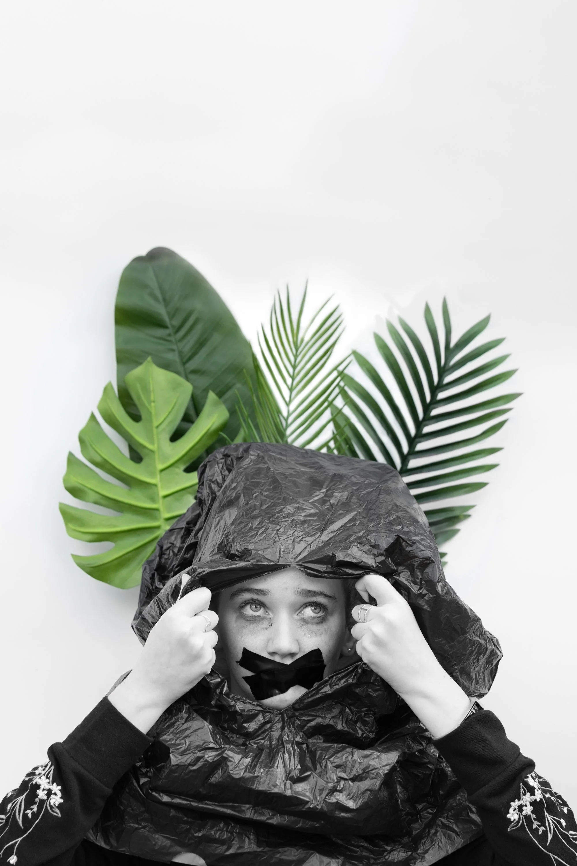 smoke and mirrors-4.jpg