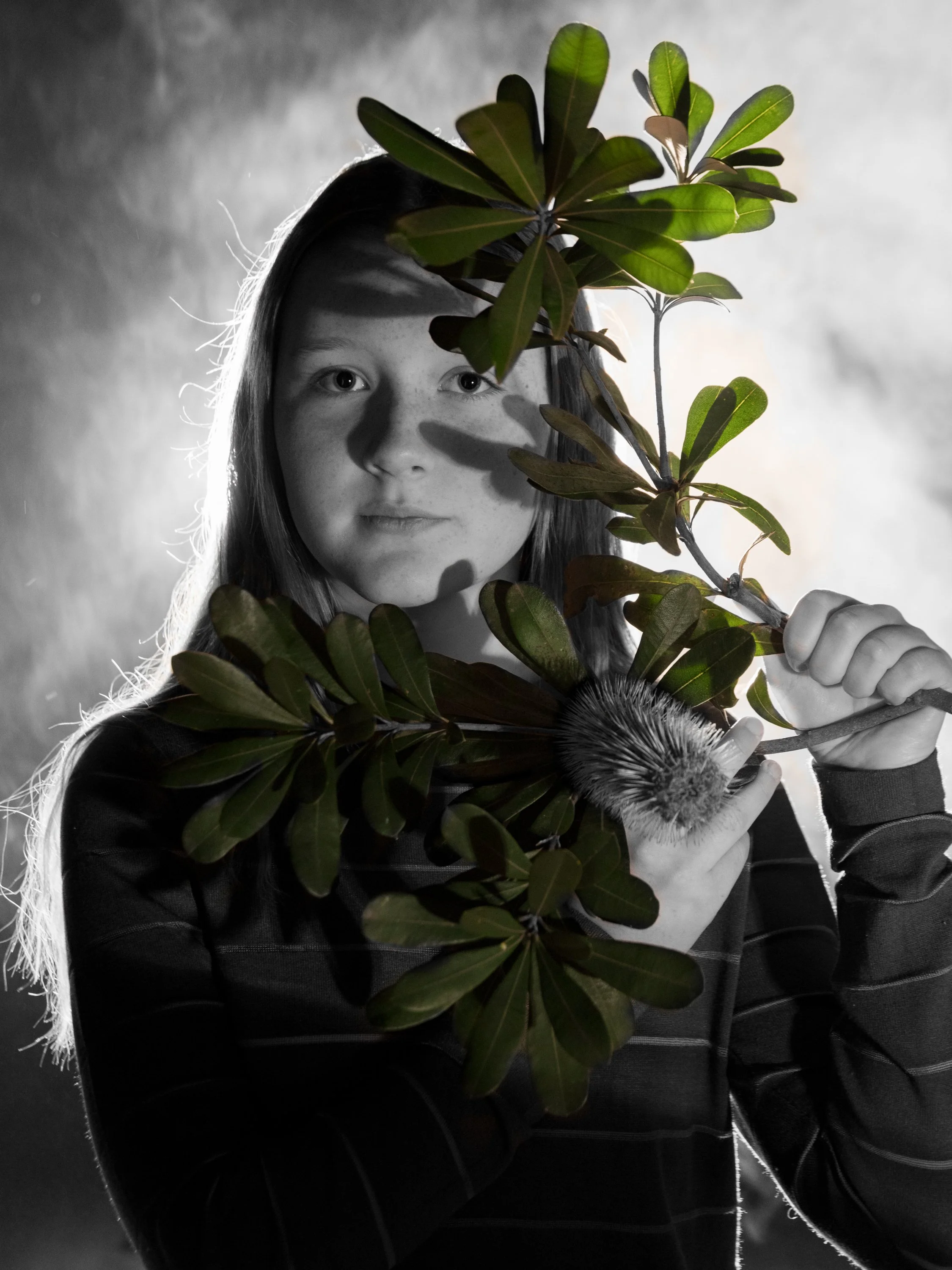 smoke and mirrors-6.jpg