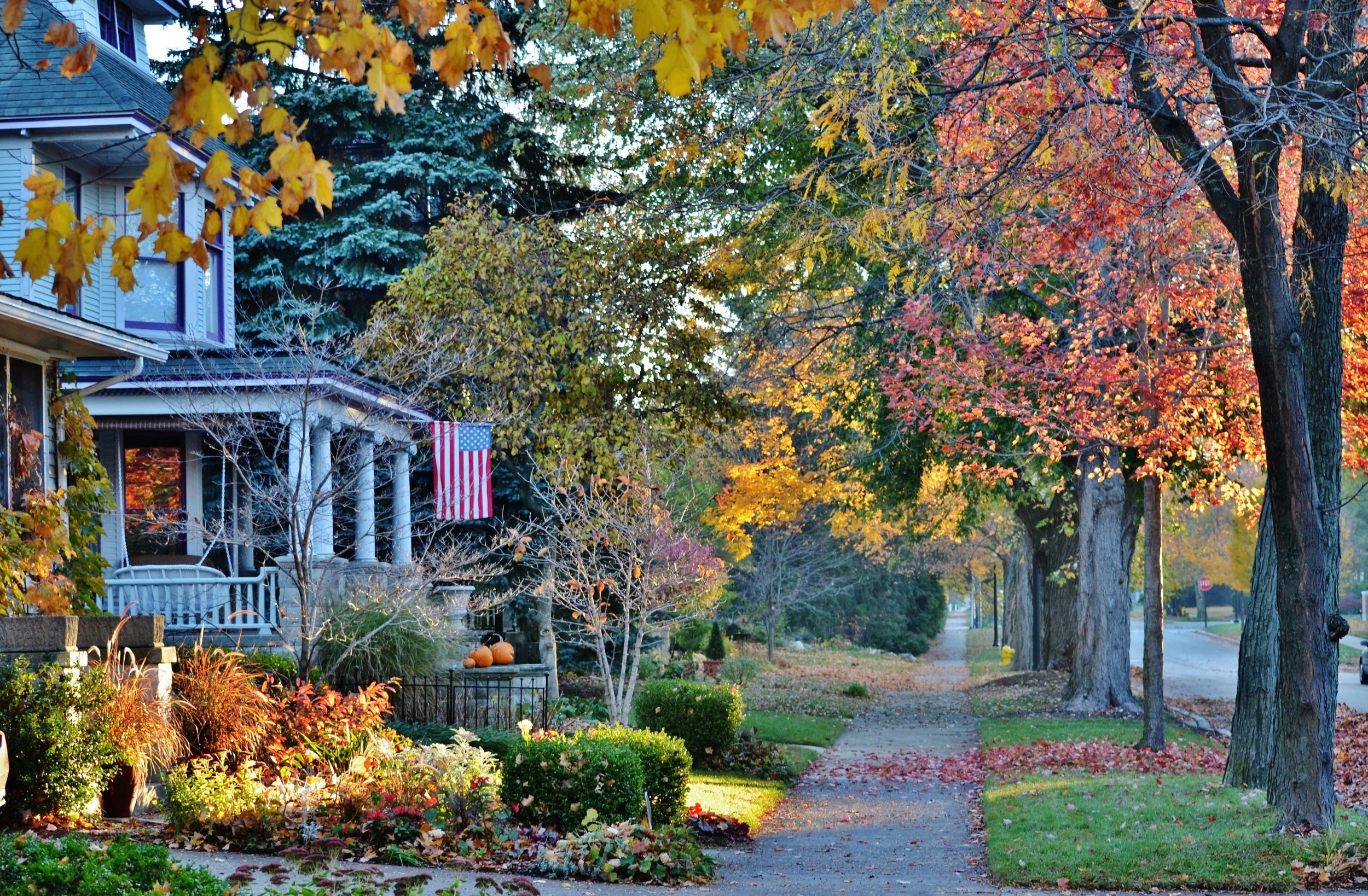 Safest Neighborhoods in Buffalo, NY: Areas Known for Community, Stability, and Livability