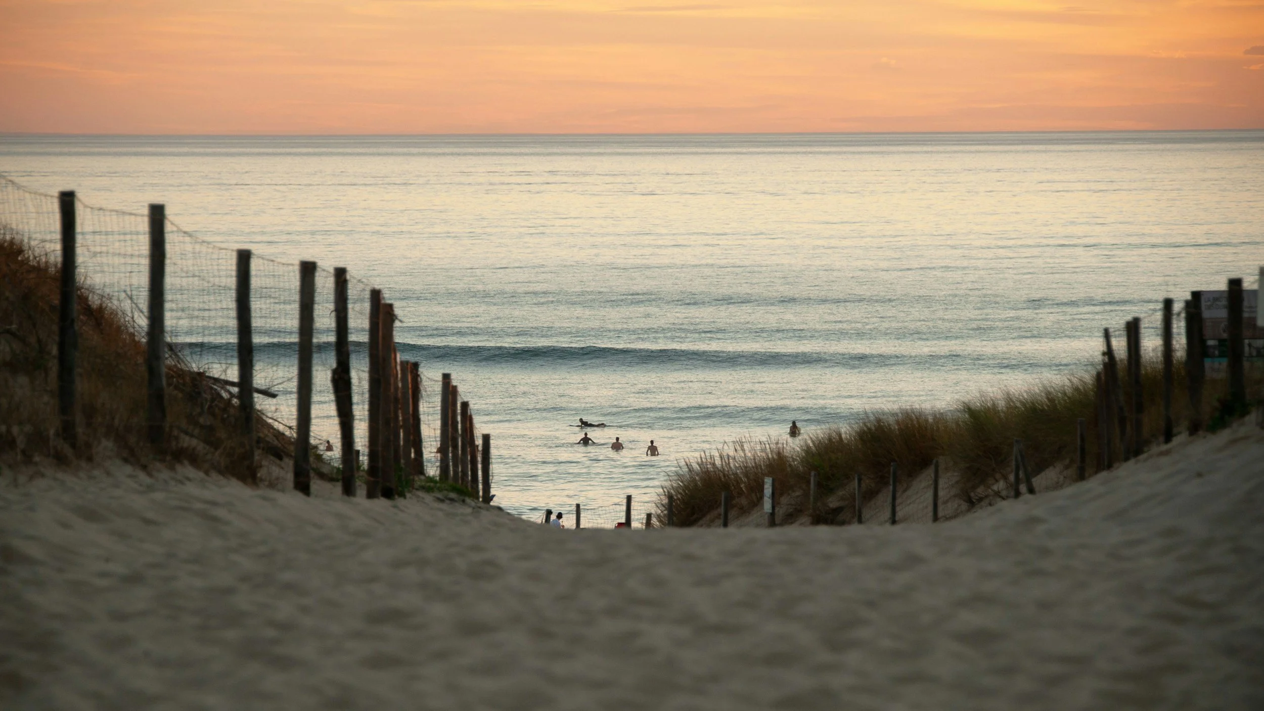 Swedish Longboard Tour