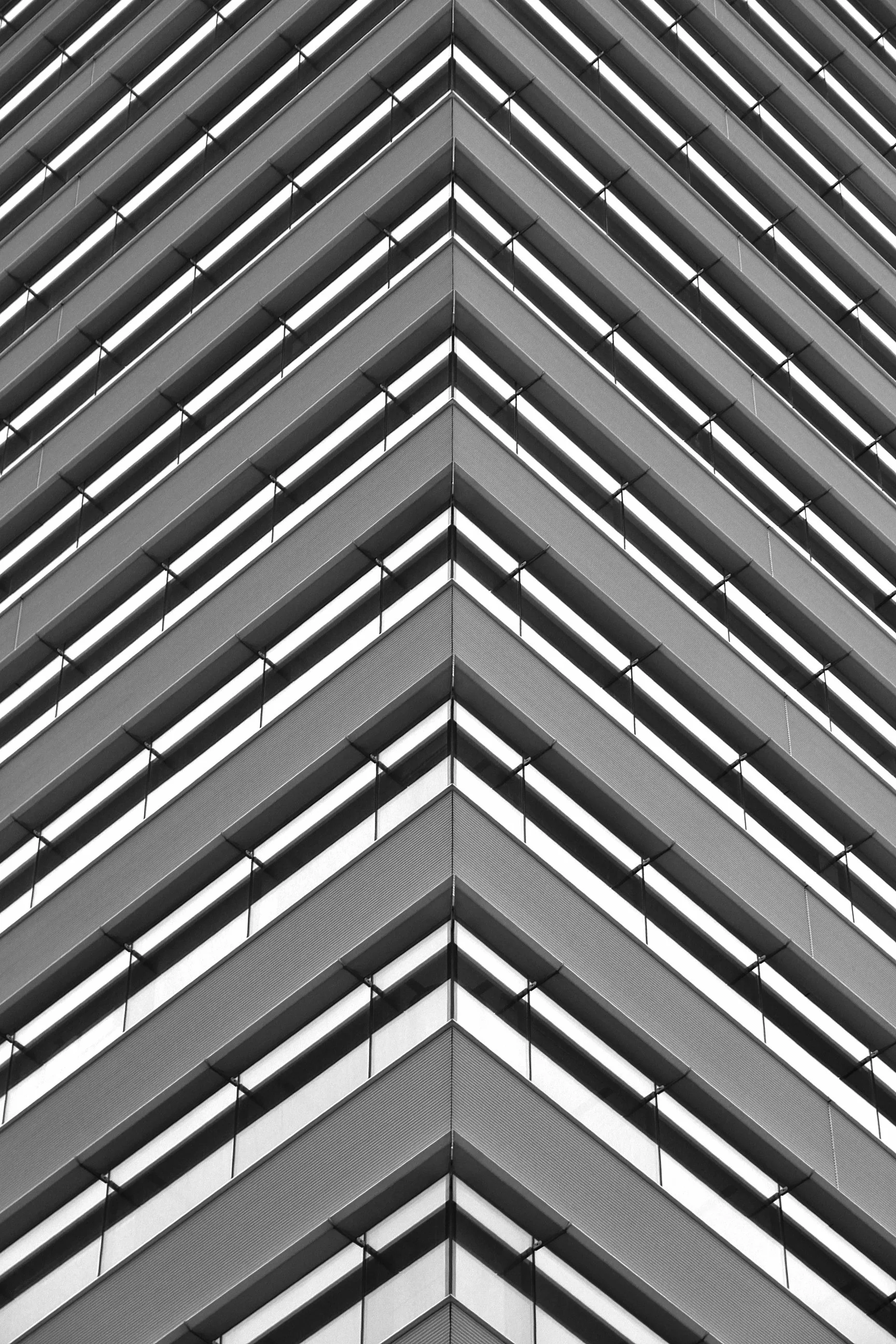 Around the corner in Rotterdam.JPG