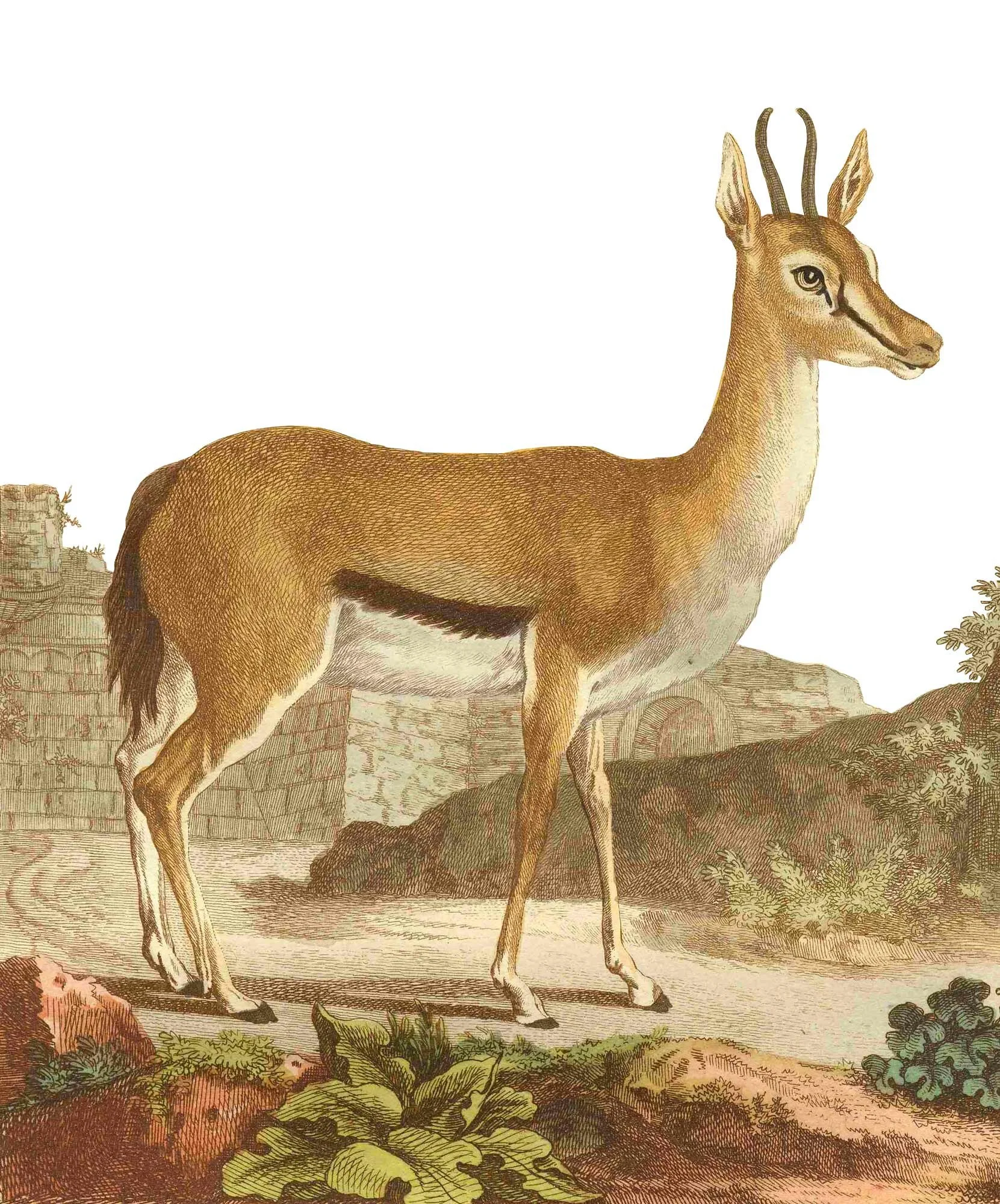 DEE2.jpg