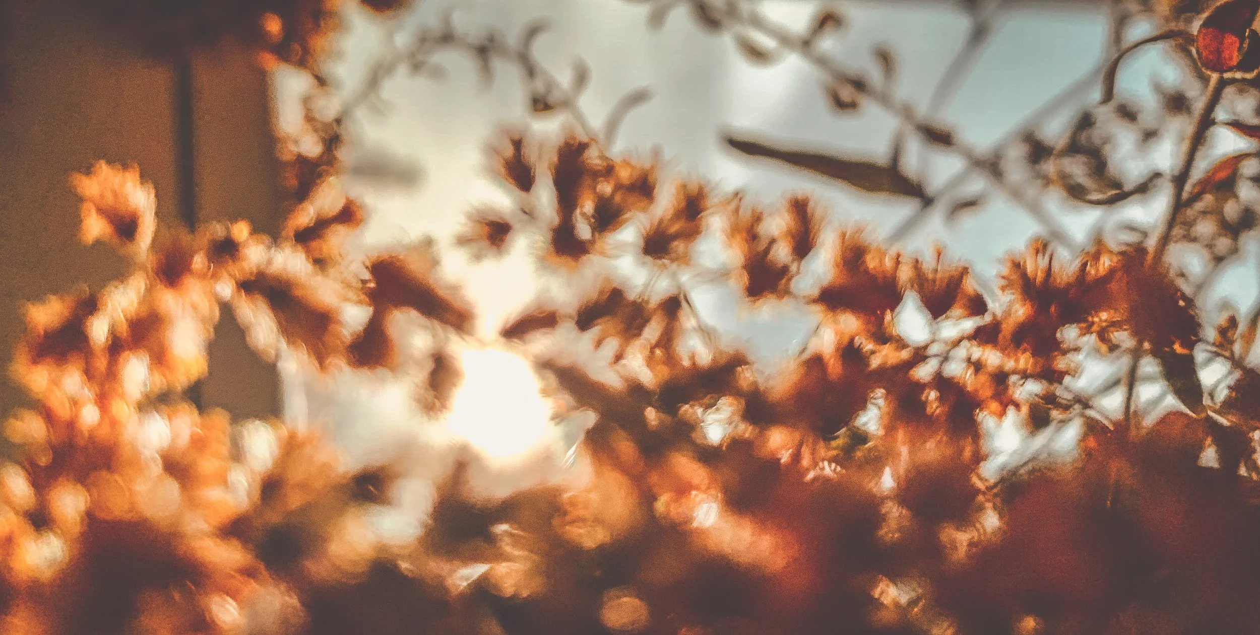 Workshopleitung STIMME (ZHAW)