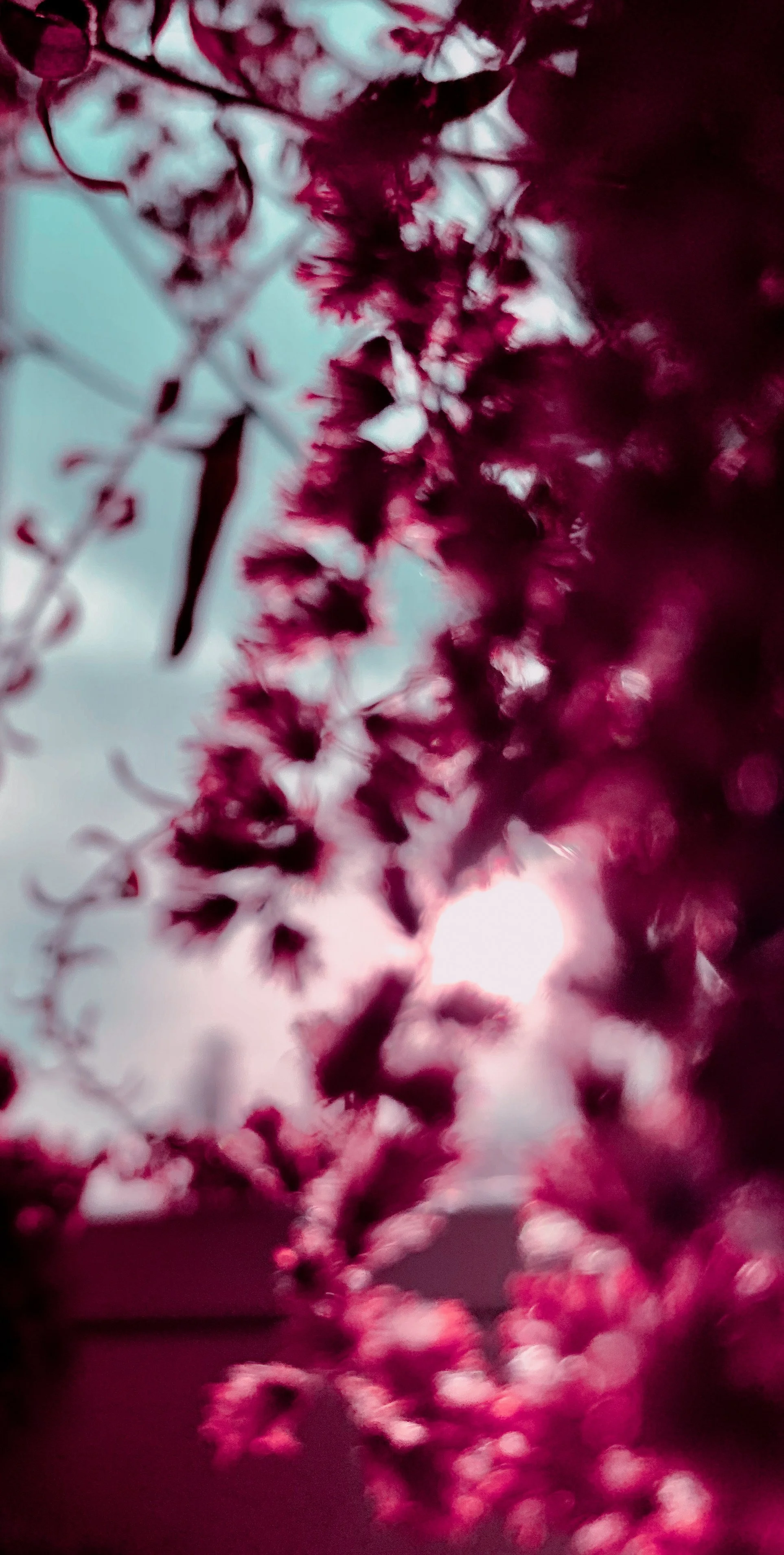 Workshopleitung STIMME (ZHAW) (Kopie)