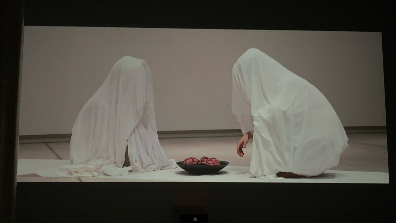 SORTIR AU JOUR – Video Installation Trailer by Emmanuel Michaud