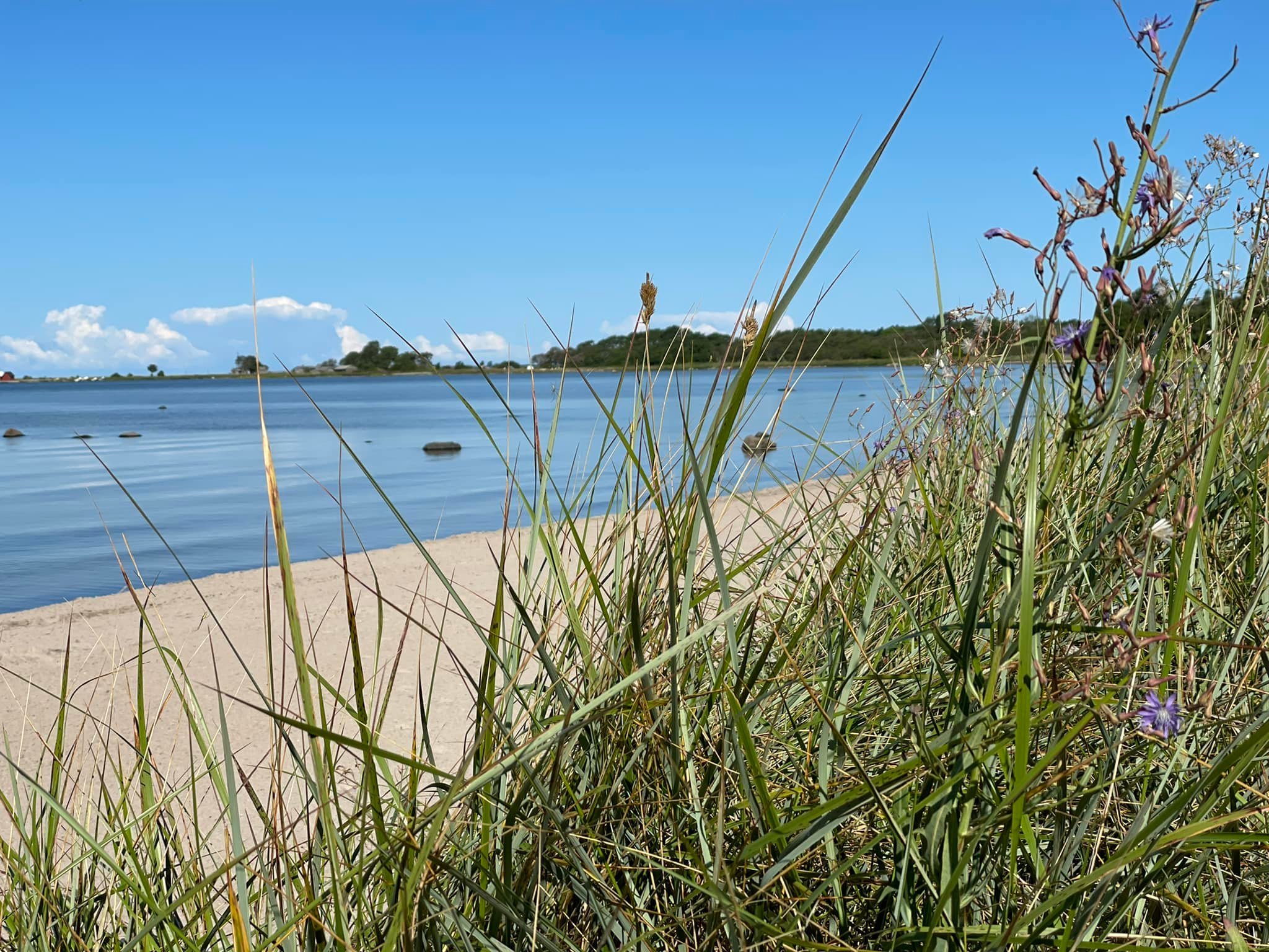 bild strand vass.jpg