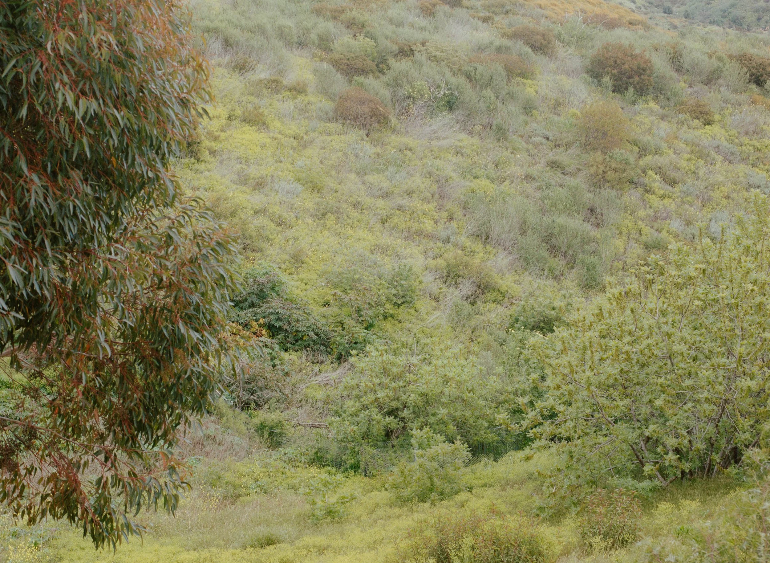 Malibu Nature Preserve