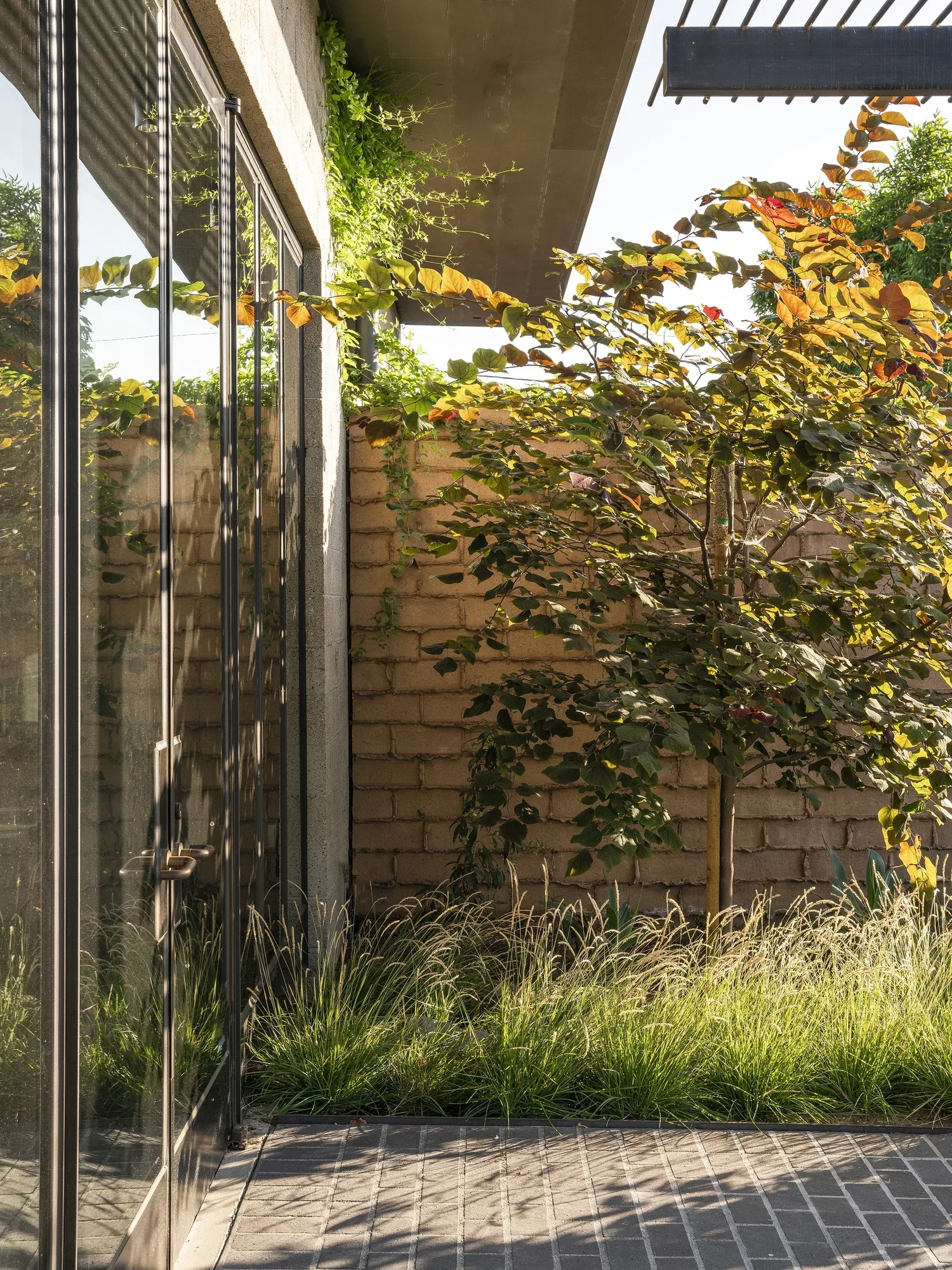 Breland-Harper_Website_Home+Page+Slideshow_11.webp