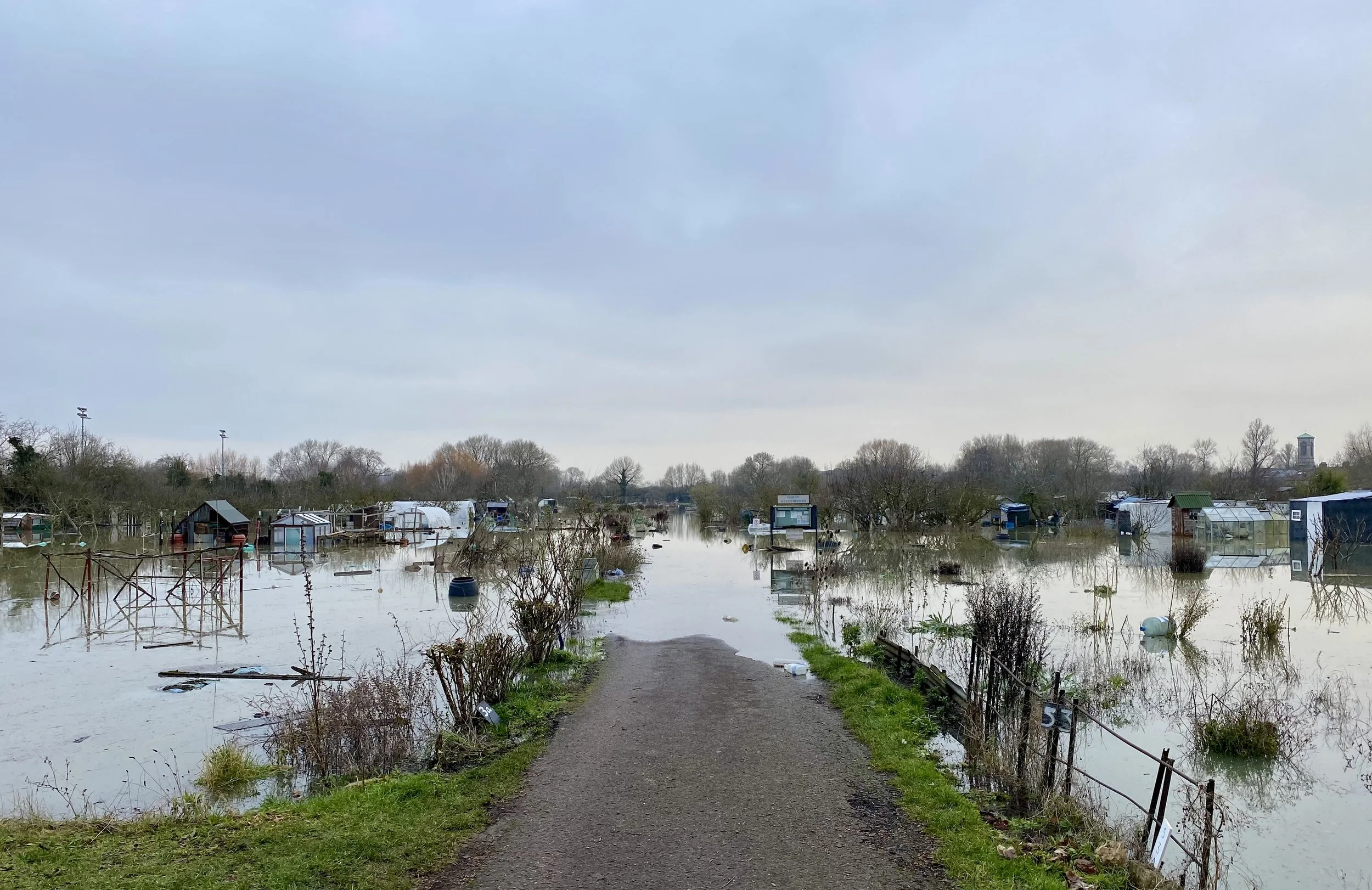 Allotment Jan 21 Choice.jpg