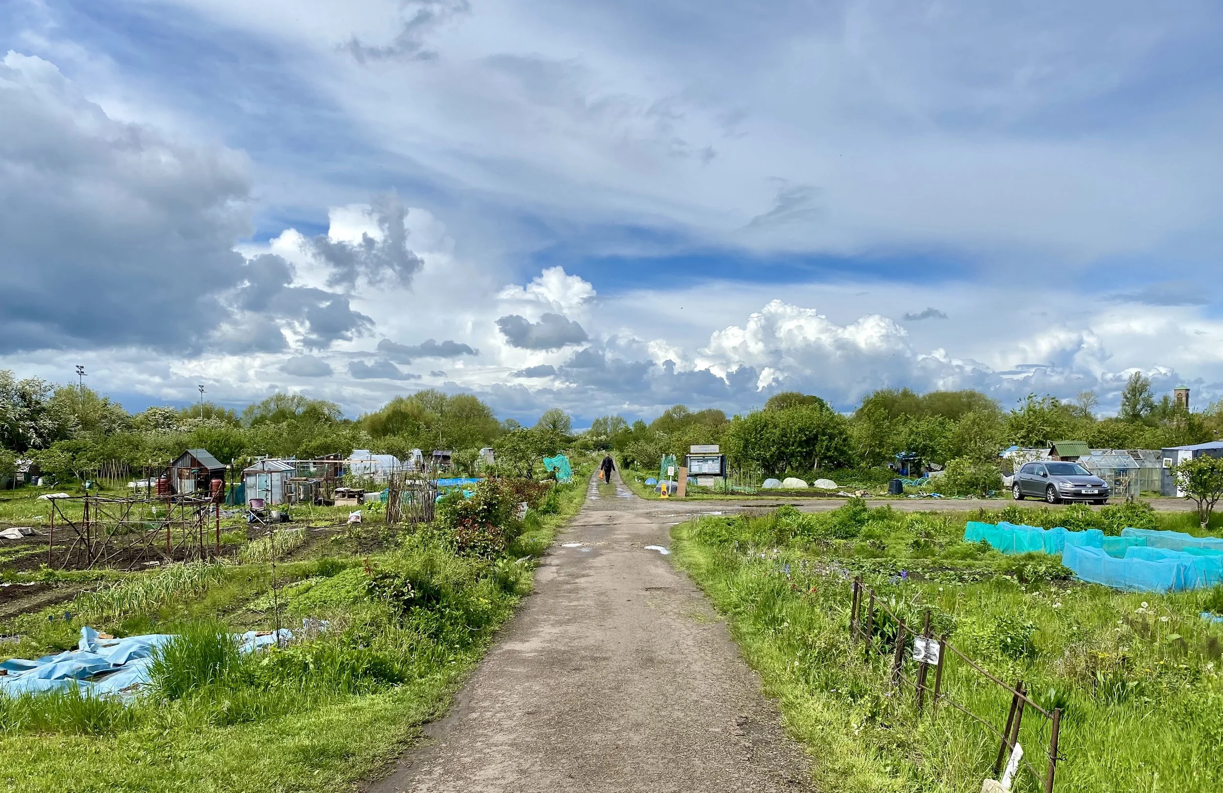 Allotment MAY 1.jpg