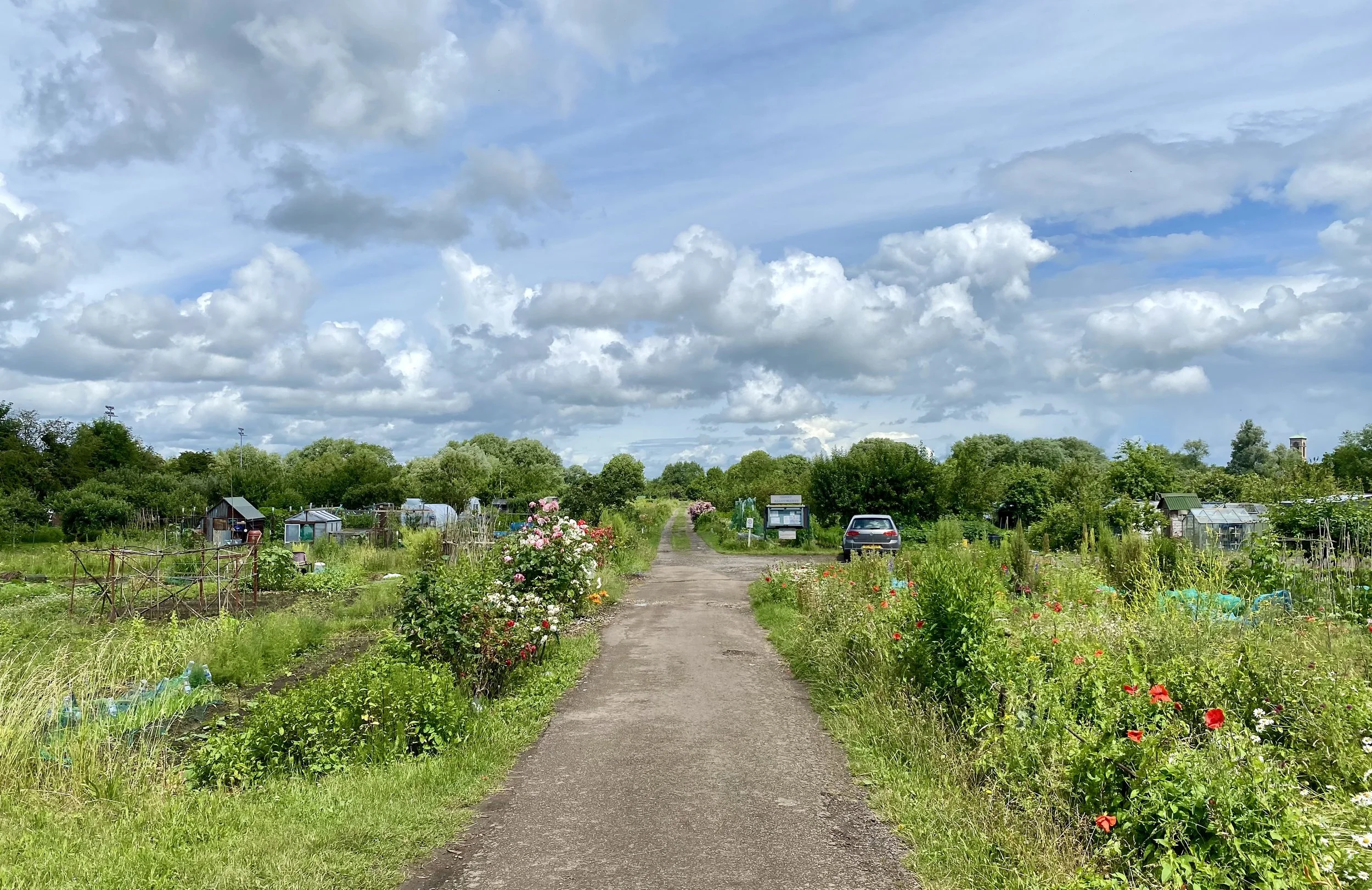 Allotment JULY 3.jpg